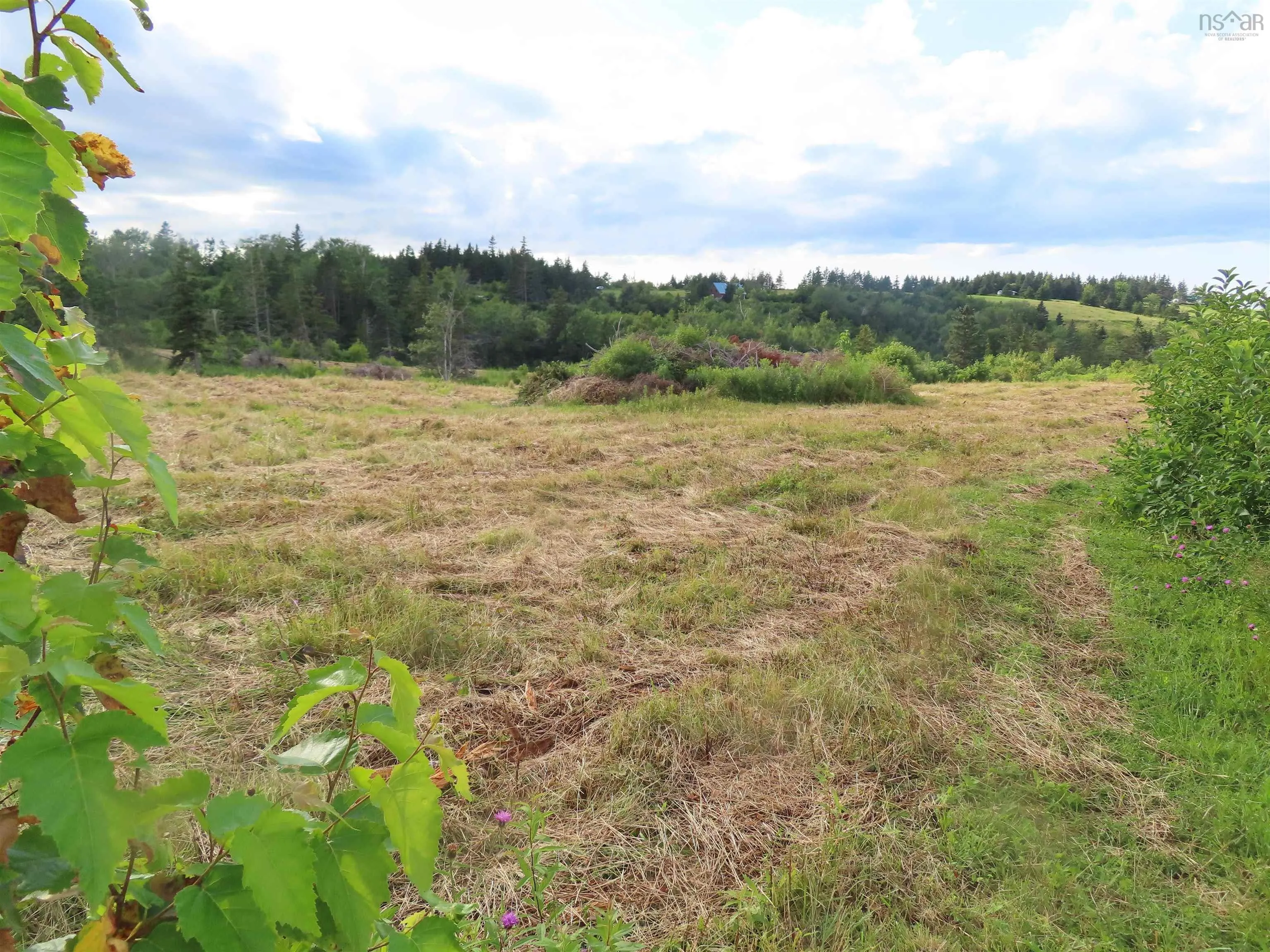 Hwy 337 Morristown, Morristown Ns B2g 2l2, ,Land,For Sale,Hwy 337 Morristown,202315863