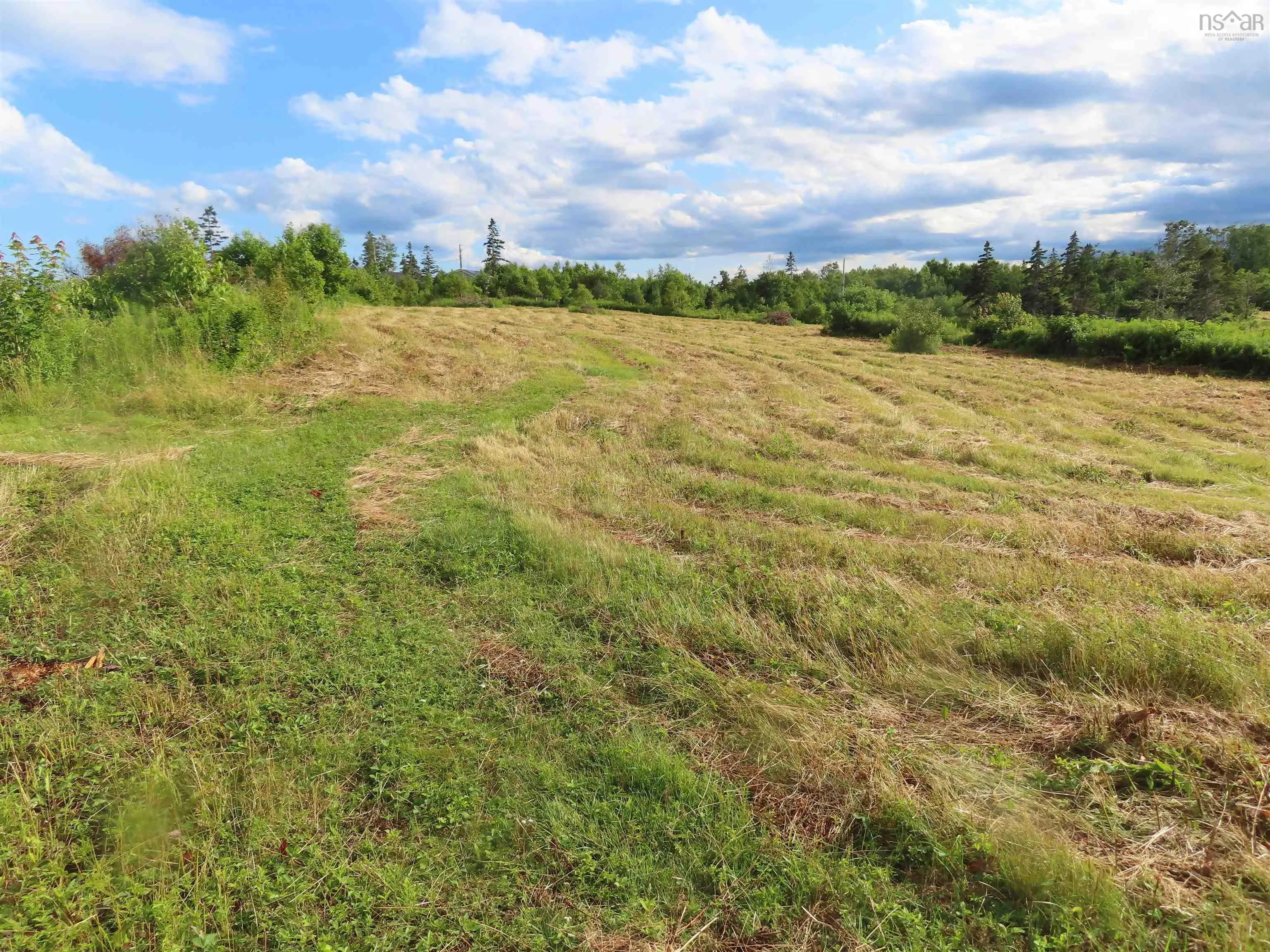 Hwy 337 Morristown, Morristown Ns B2g 2l2, ,Land,For Sale,Hwy 337 Morristown,202315863