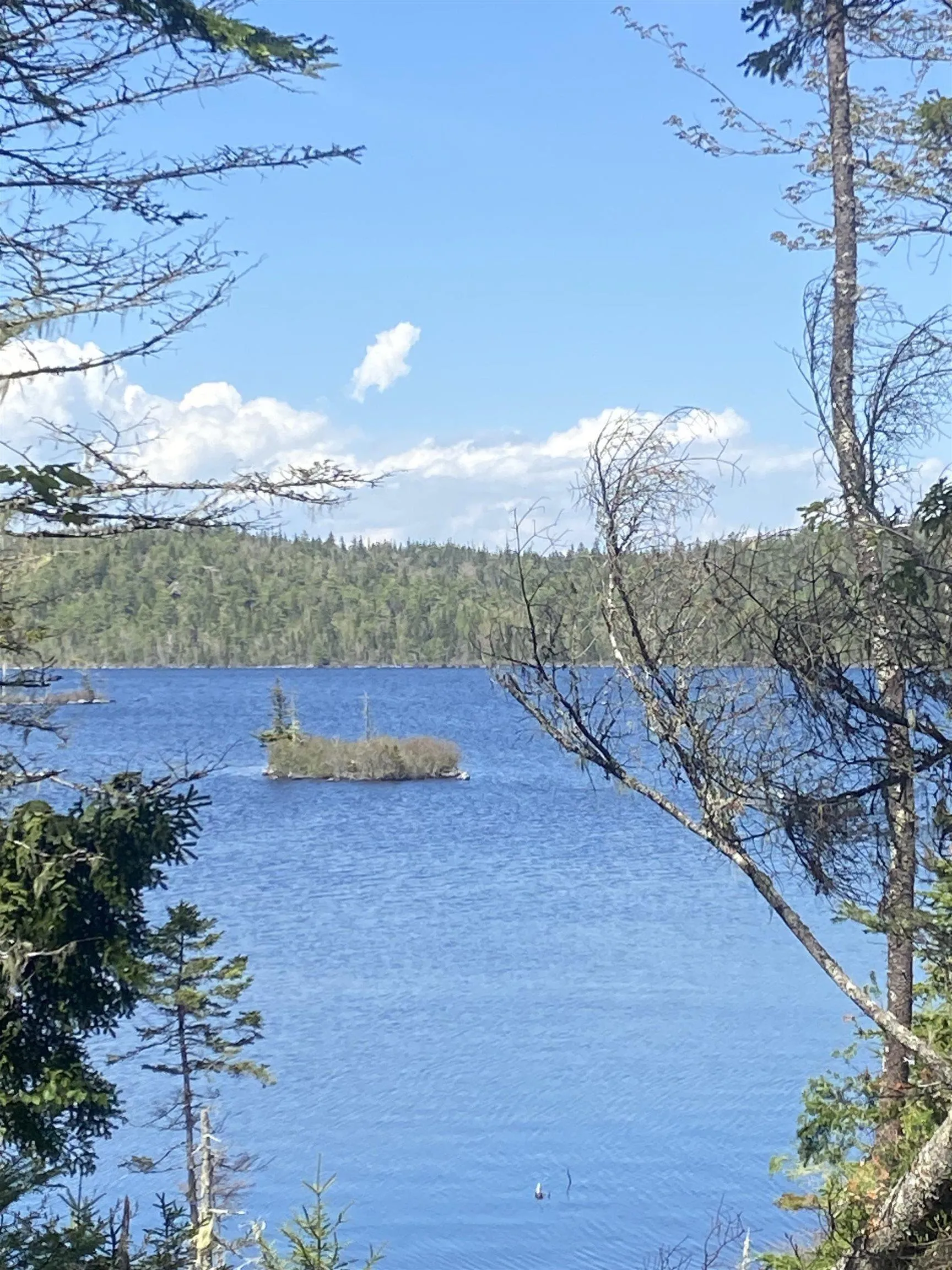 Longbridge Lake Lot 8c, Gaetz Brook, NS B0J 2L0, ,Land,For Sale,Longbridge Lake,202513396