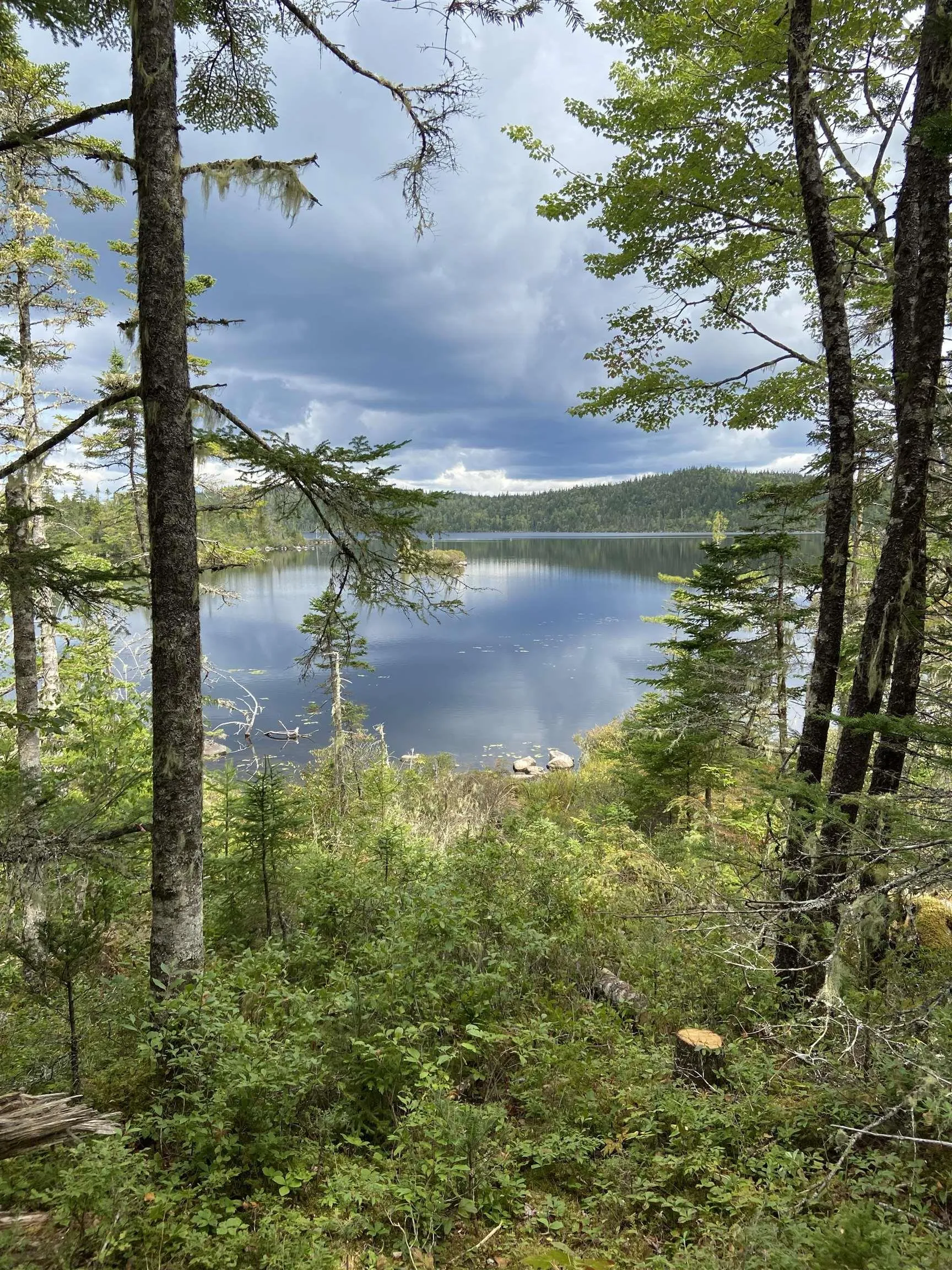 Longbridge Lake Lot 8c, Gaetz Brook, NS B0J 2L0, ,Land,For Sale,Longbridge Lake,202513396