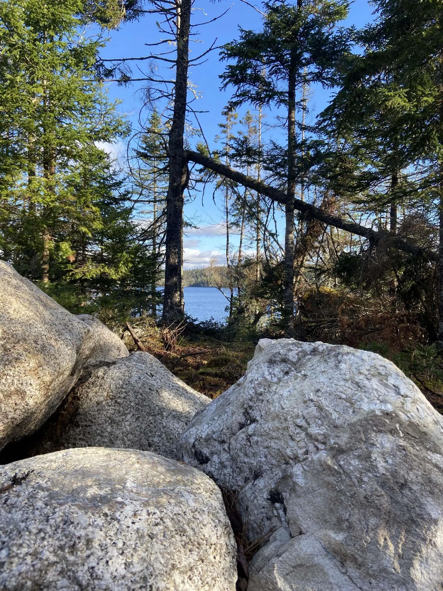 Longbridge Lake Lot 8c, Gaetz Brook, NS B0J 2L0, ,Land,For Sale,Longbridge Lake,202513396