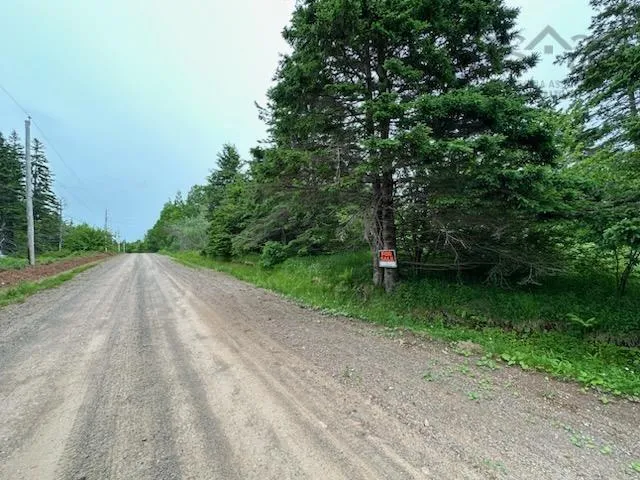 Rear Big Beach Road Road, Christmas Island, NS B1T 1L7, ,Land,For Sale,Rear Big Beach Road,202519522