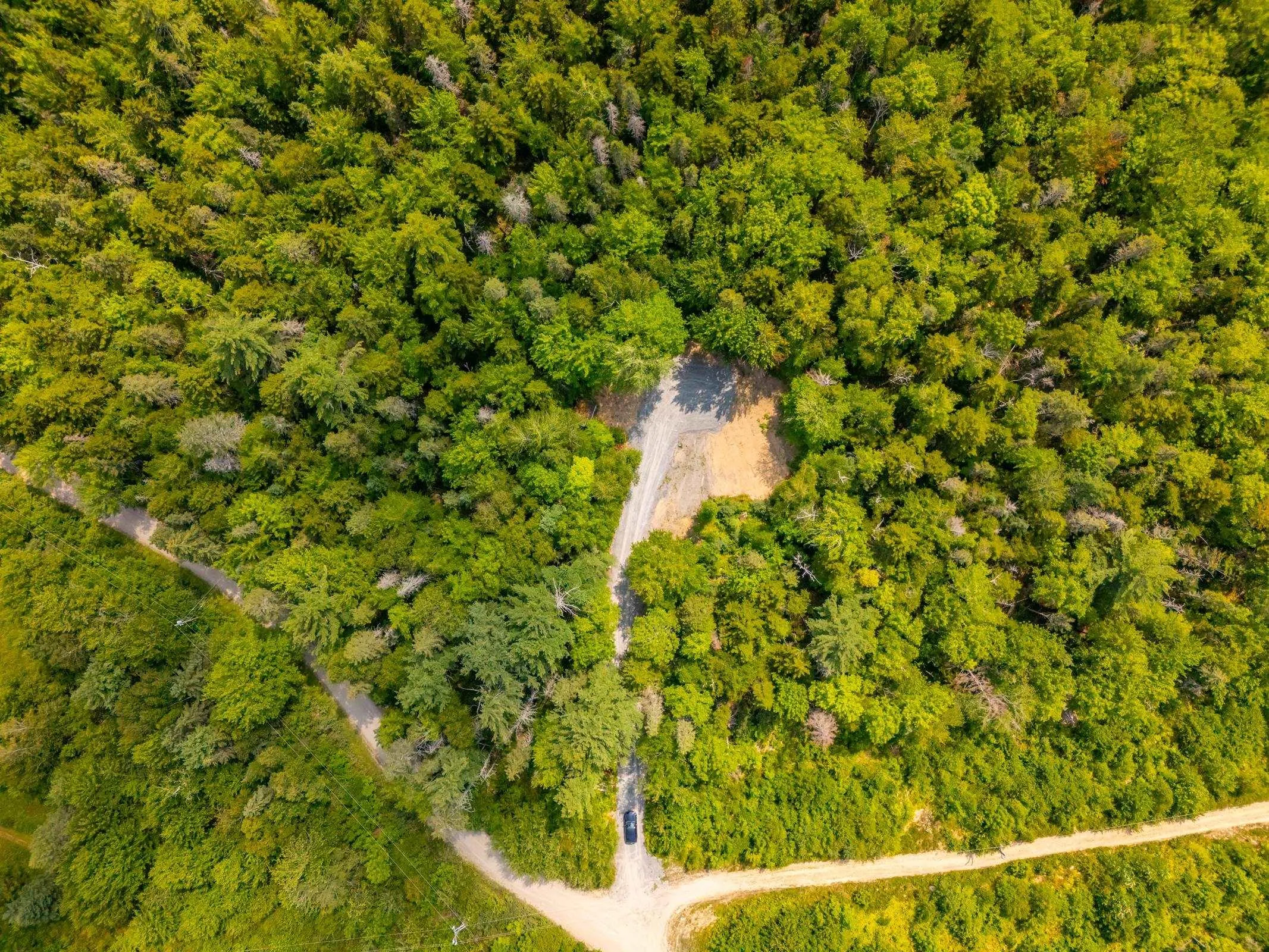 48 Lake Mulgrave Road, Victory, NS B0S 1B0, ,Land,For Sale,Lake Mulgrave Road,202518975