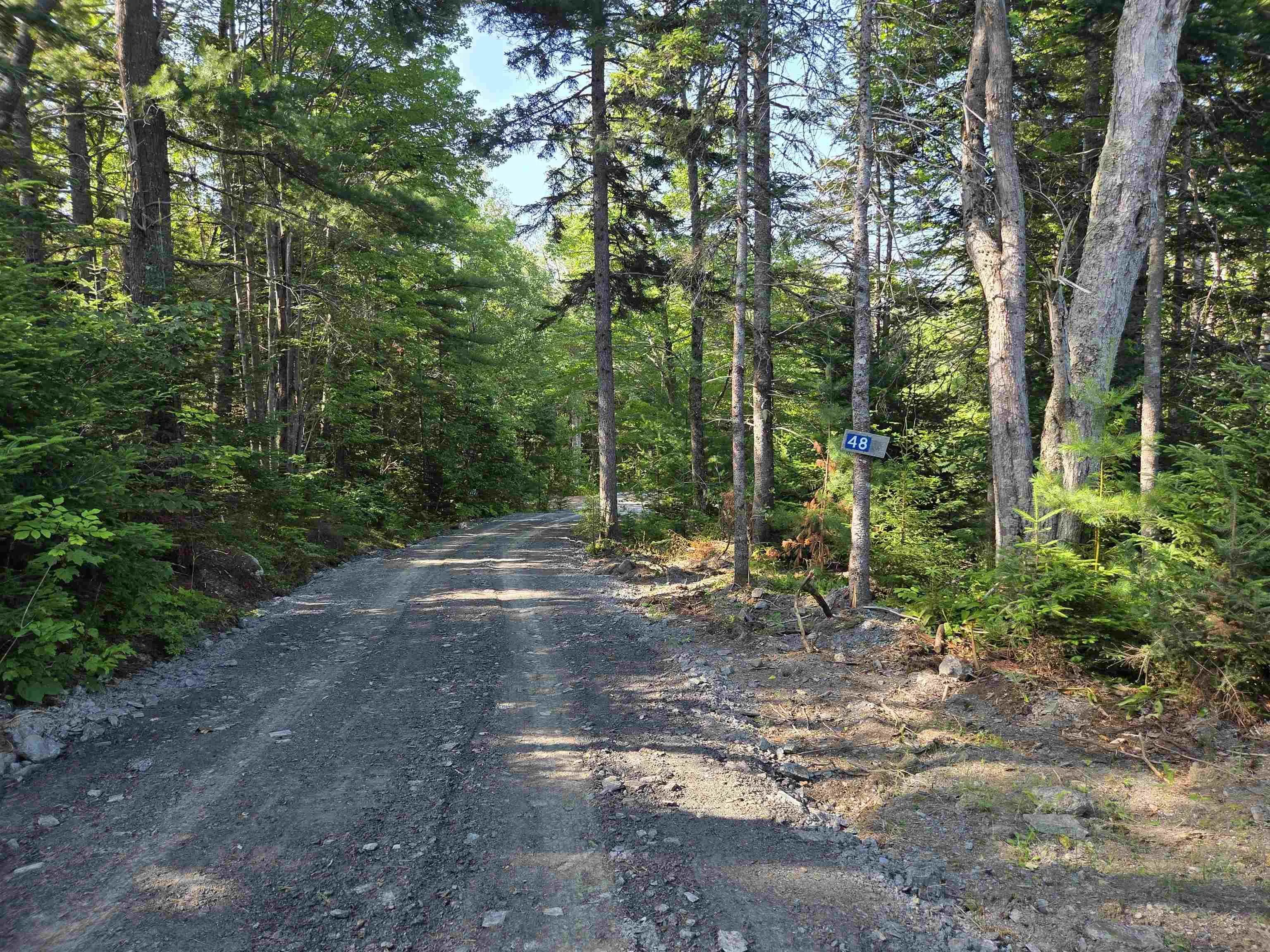 48 Lake Mulgrave Road, Victory, NS B0S 1B0, ,Land,For Sale,Lake Mulgrave Road,202518975