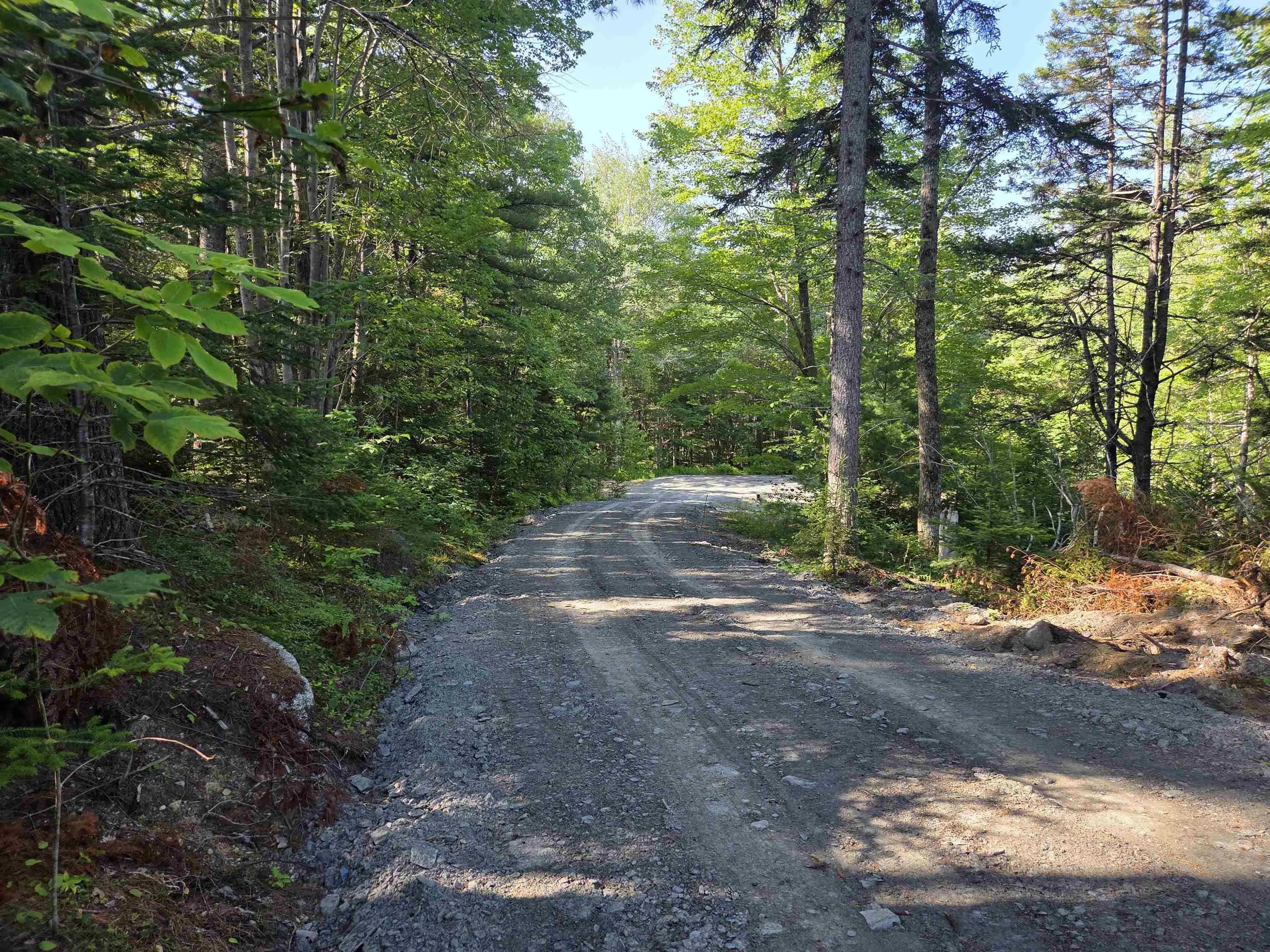 48 Lake Mulgrave Road, Victory, NS B0S 1B0, ,Land,For Sale,Lake Mulgrave Road,202518975