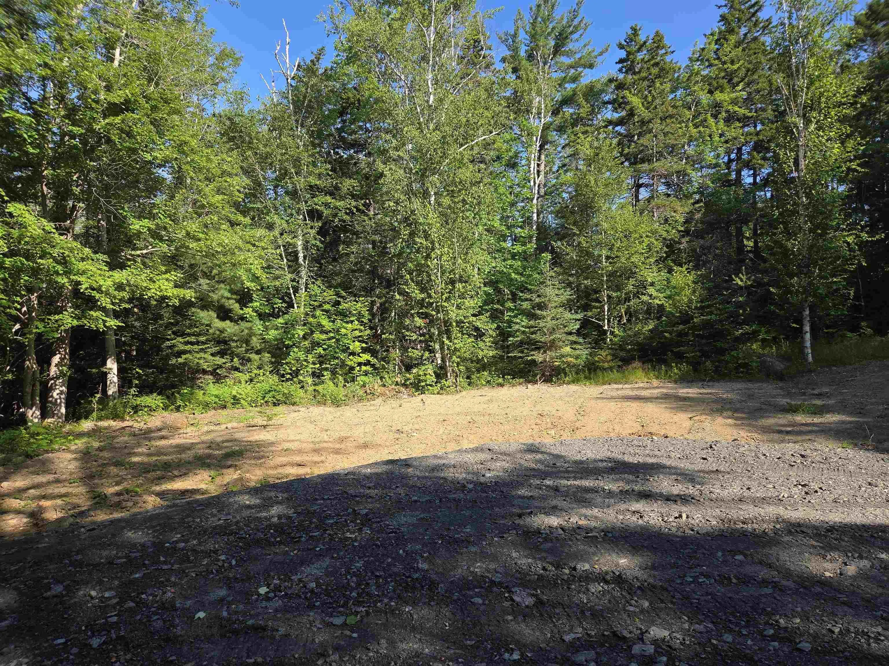 48 Lake Mulgrave Road, Victory, NS B0S 1B0, ,Land,For Sale,Lake Mulgrave Road,202518975