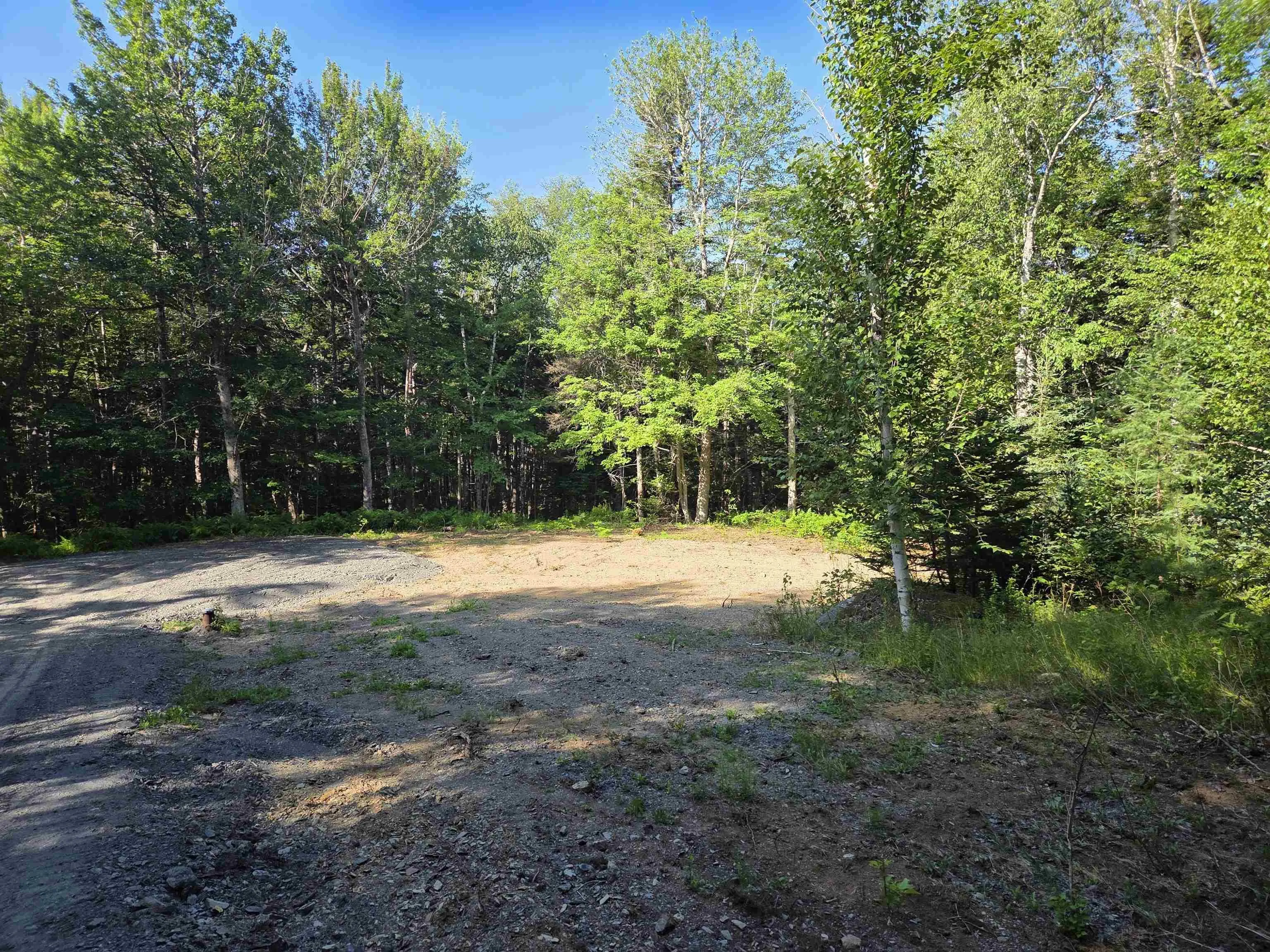48 Lake Mulgrave Road, Victory, NS B0S 1B0, ,Land,For Sale,Lake Mulgrave Road,202518975