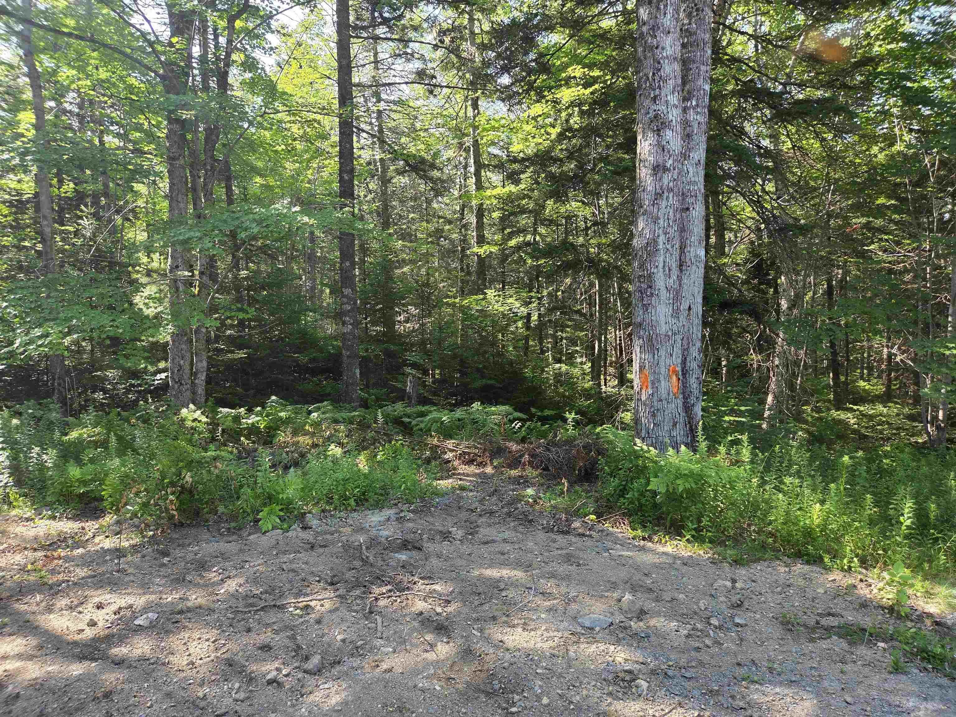 48 Lake Mulgrave Road, Victory, NS B0S 1B0, ,Land,For Sale,Lake Mulgrave Road,202518975