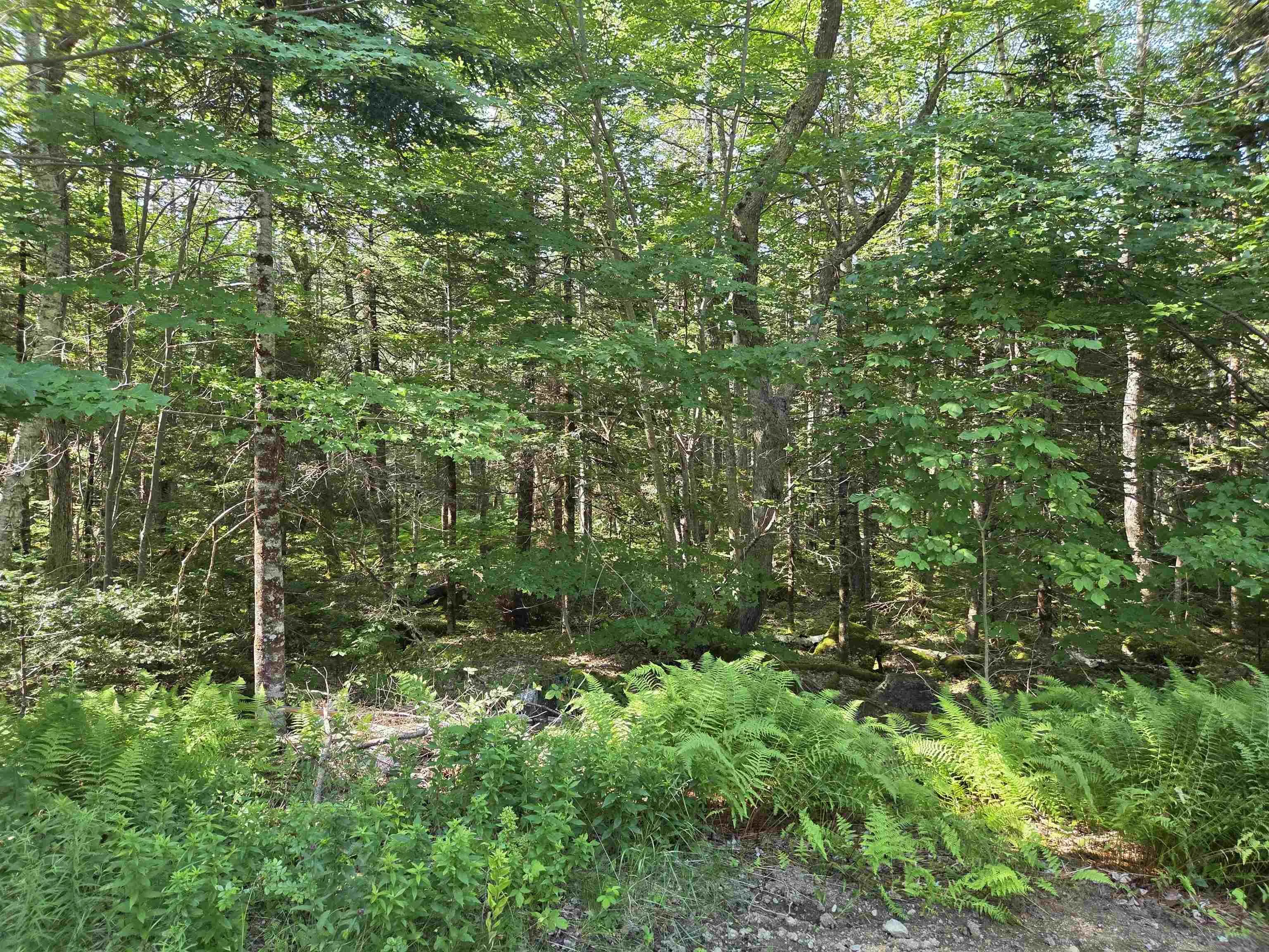 48 Lake Mulgrave Road, Victory, NS B0S 1B0, ,Land,For Sale,Lake Mulgrave Road,202518975