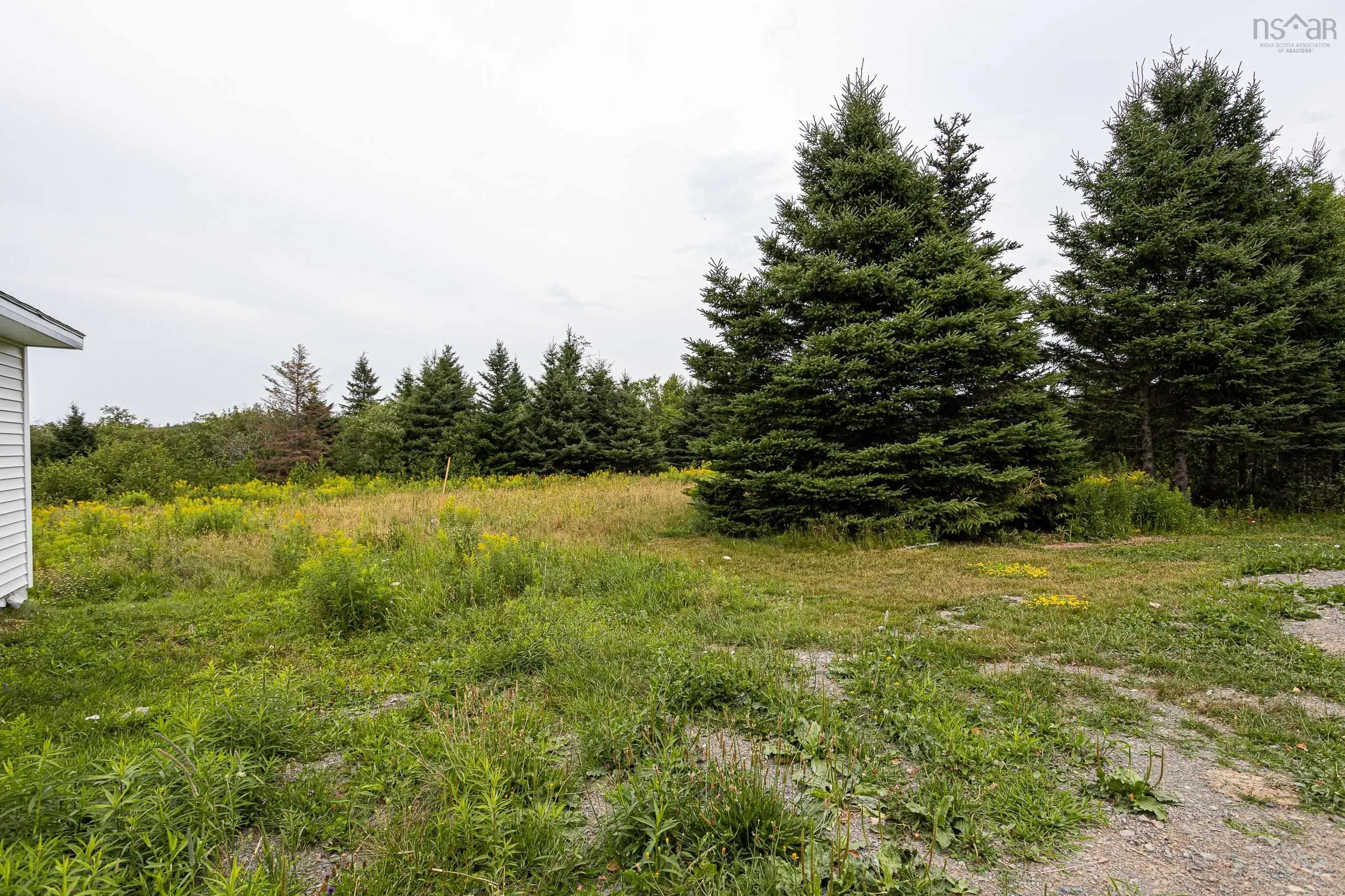 341 Warwick Mountain Road, Warwick Mountain, NS B0K 1V0, 3 Bedrooms Bedrooms, ,2 BathroomsBathrooms,Residential,For Sale,Warwick Mountain,202519697