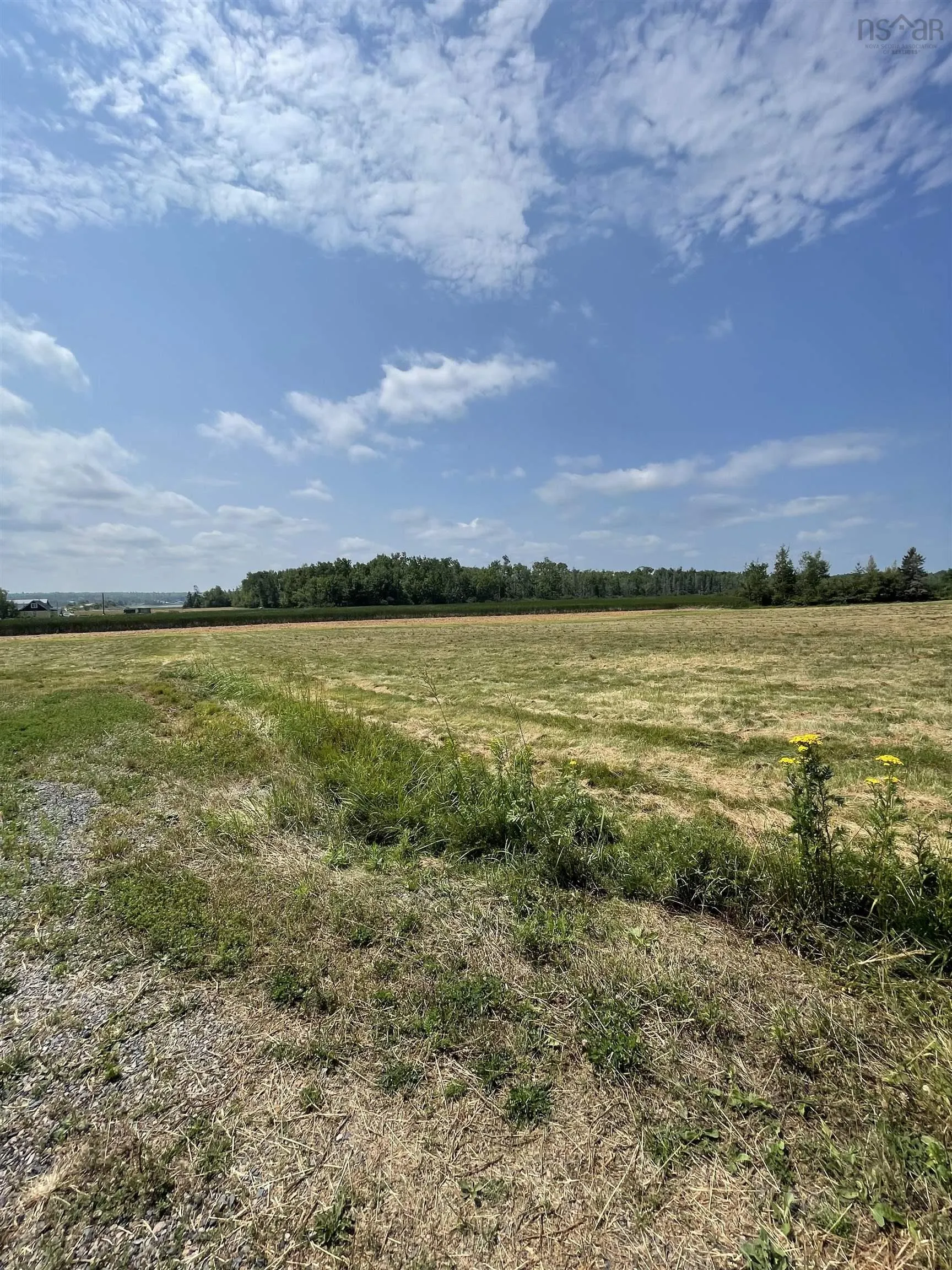Lot 1a & 2 North Wallace Road, Wallace, NS B0K 1Y0, ,Land,For Sale,North Wallace,202519235