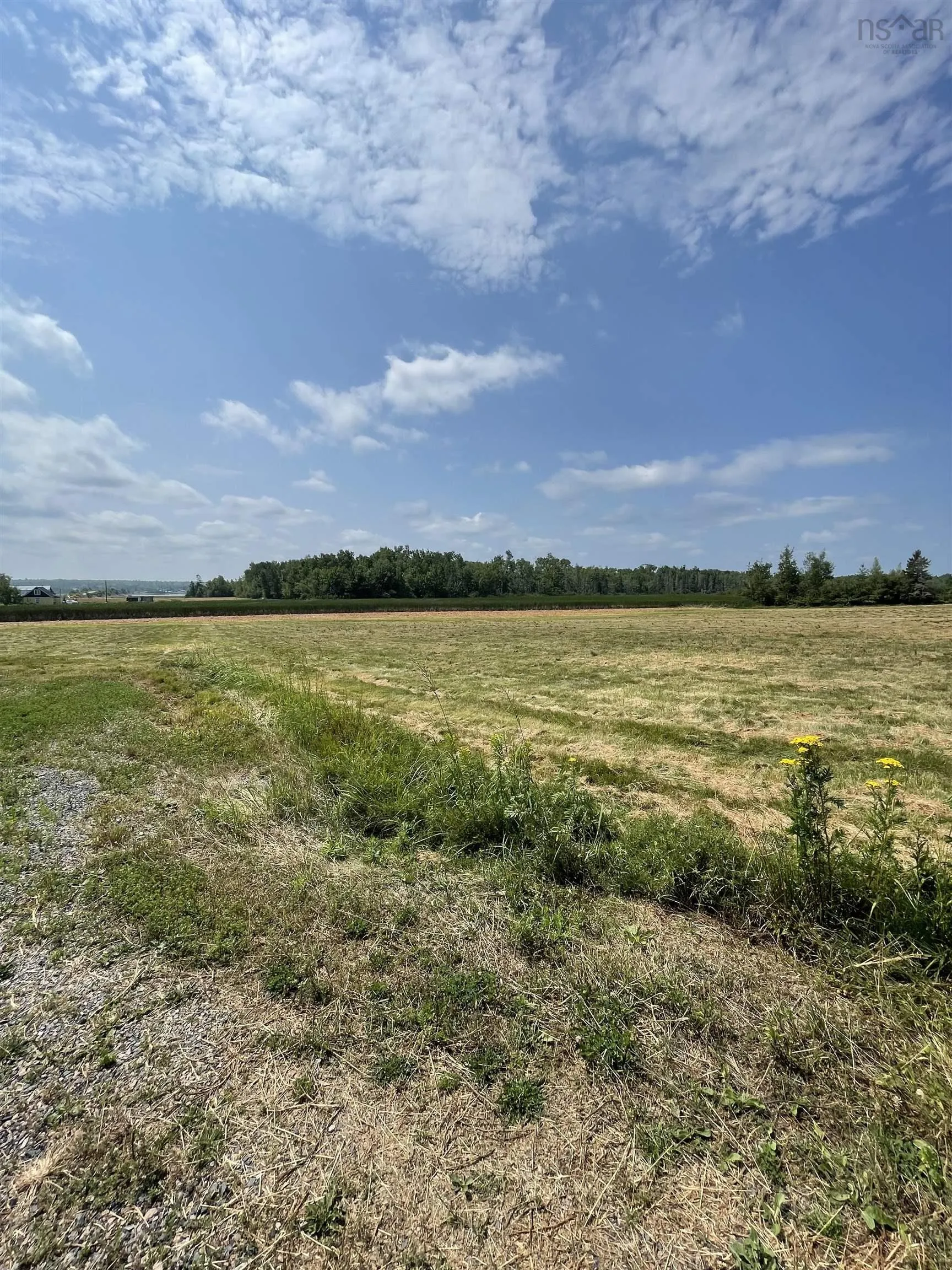 Lot 1a & 2 North Wallace Road, Wallace, NS B0K 1Y0, ,Land,For Sale,North Wallace,202519235