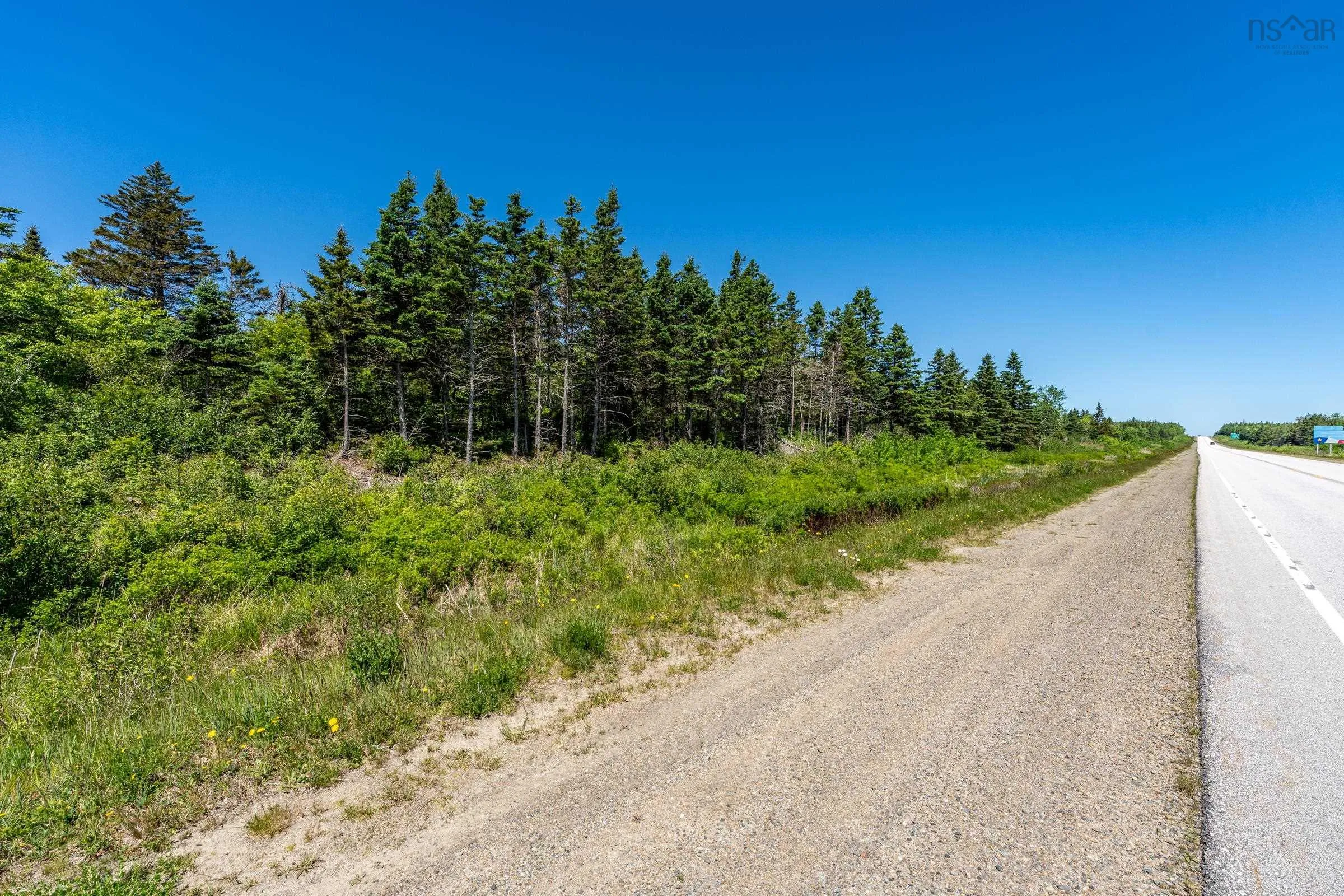Lot Highway 1, Beaver River, NS B5A 5B1, ,Land,For Sale,Highway 1,202514357