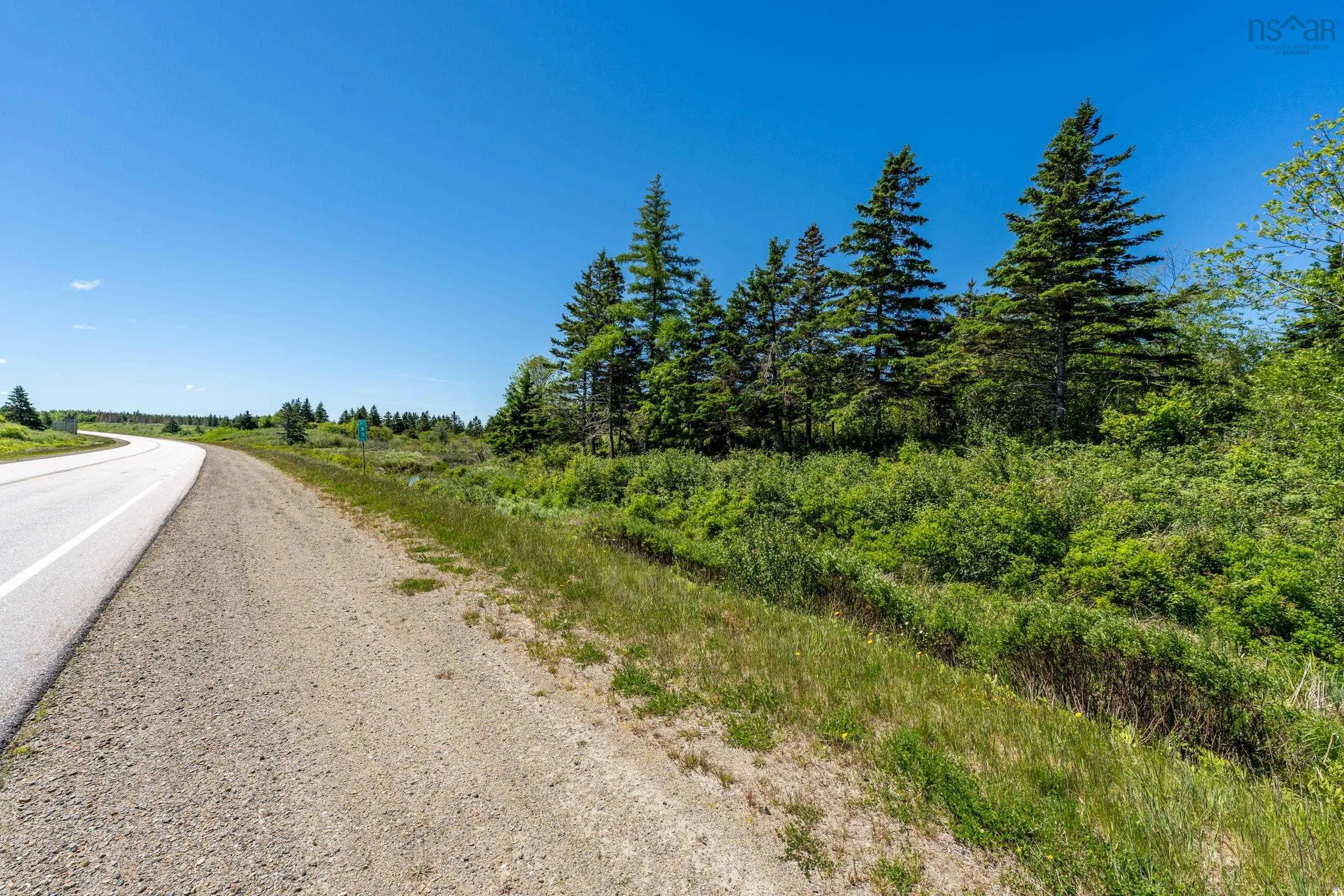 Lot Highway 1, Beaver River, NS B5A 5B1, ,Land,For Sale,Highway 1,202514357