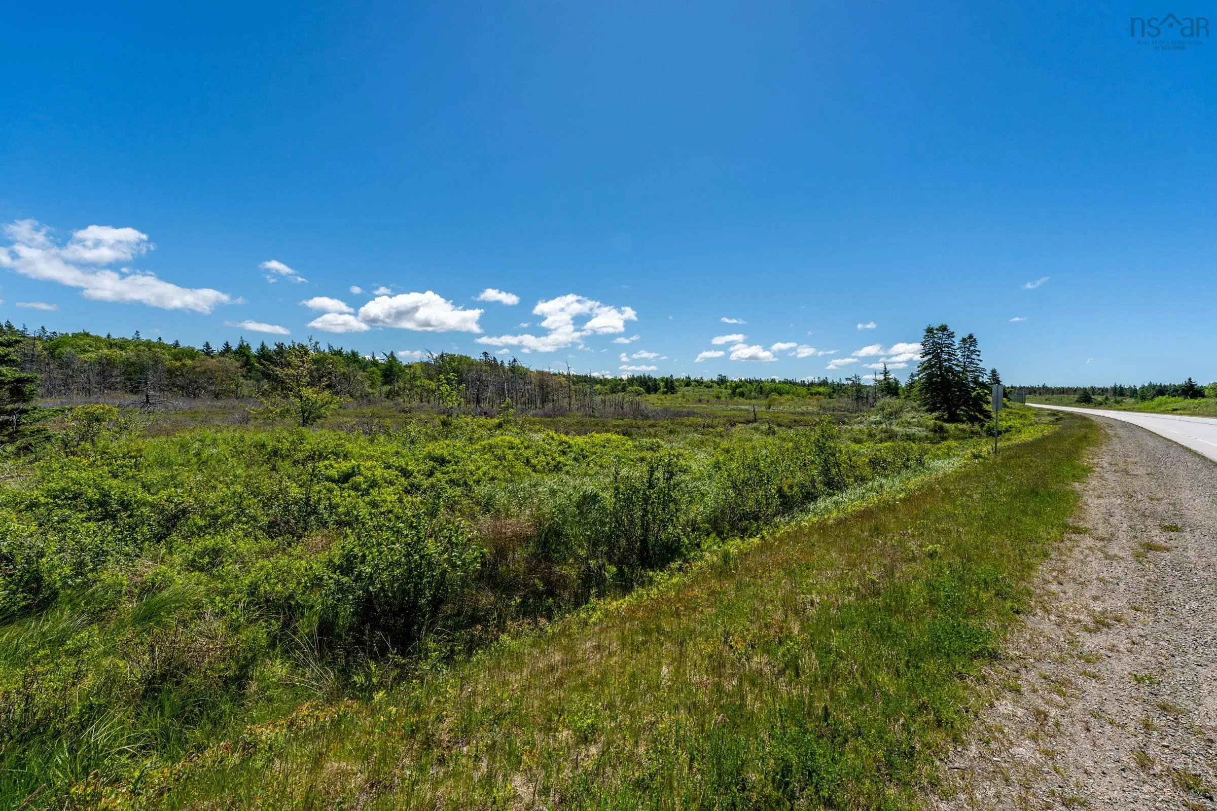Lot Highway 1, Beaver River, NS B5A 5B1, ,Land,For Sale,Highway 1,202514357