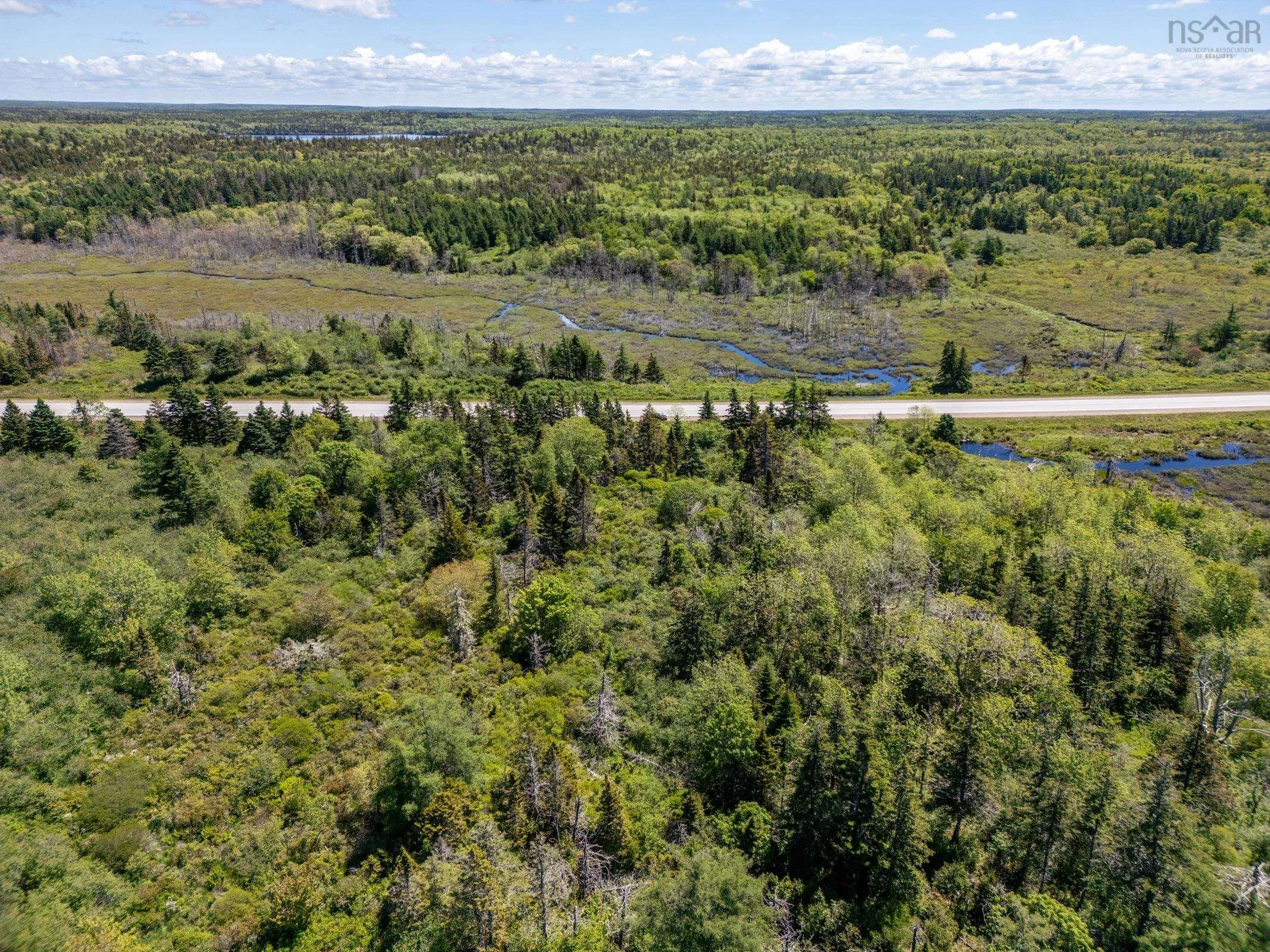 Lot Highway 1, Beaver River, NS B5A 5B1, ,Land,For Sale,Highway 1,202514357