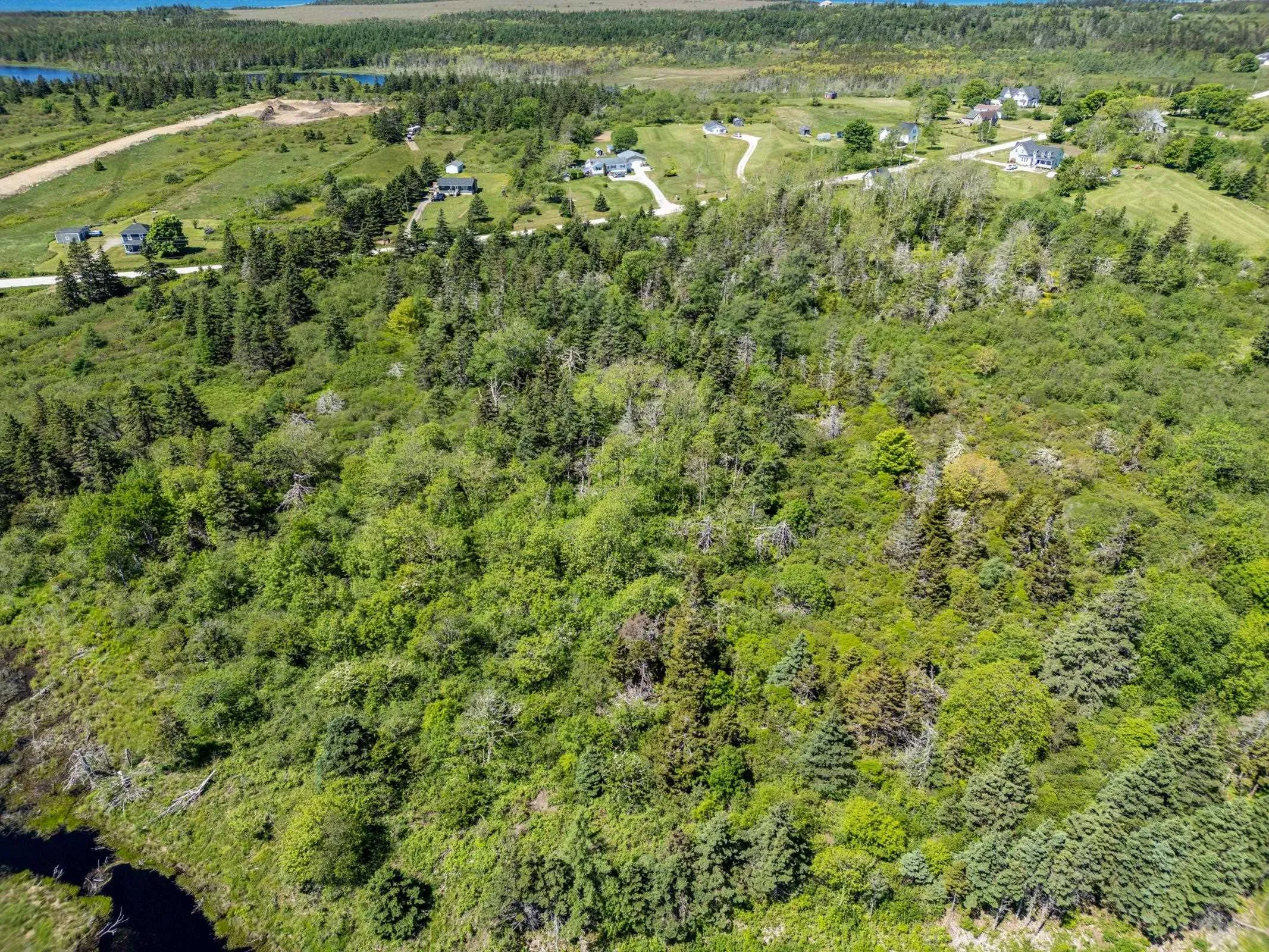 Lot Highway 1, Beaver River, NS B5A 5B1, ,Land,For Sale,Highway 1,202514357