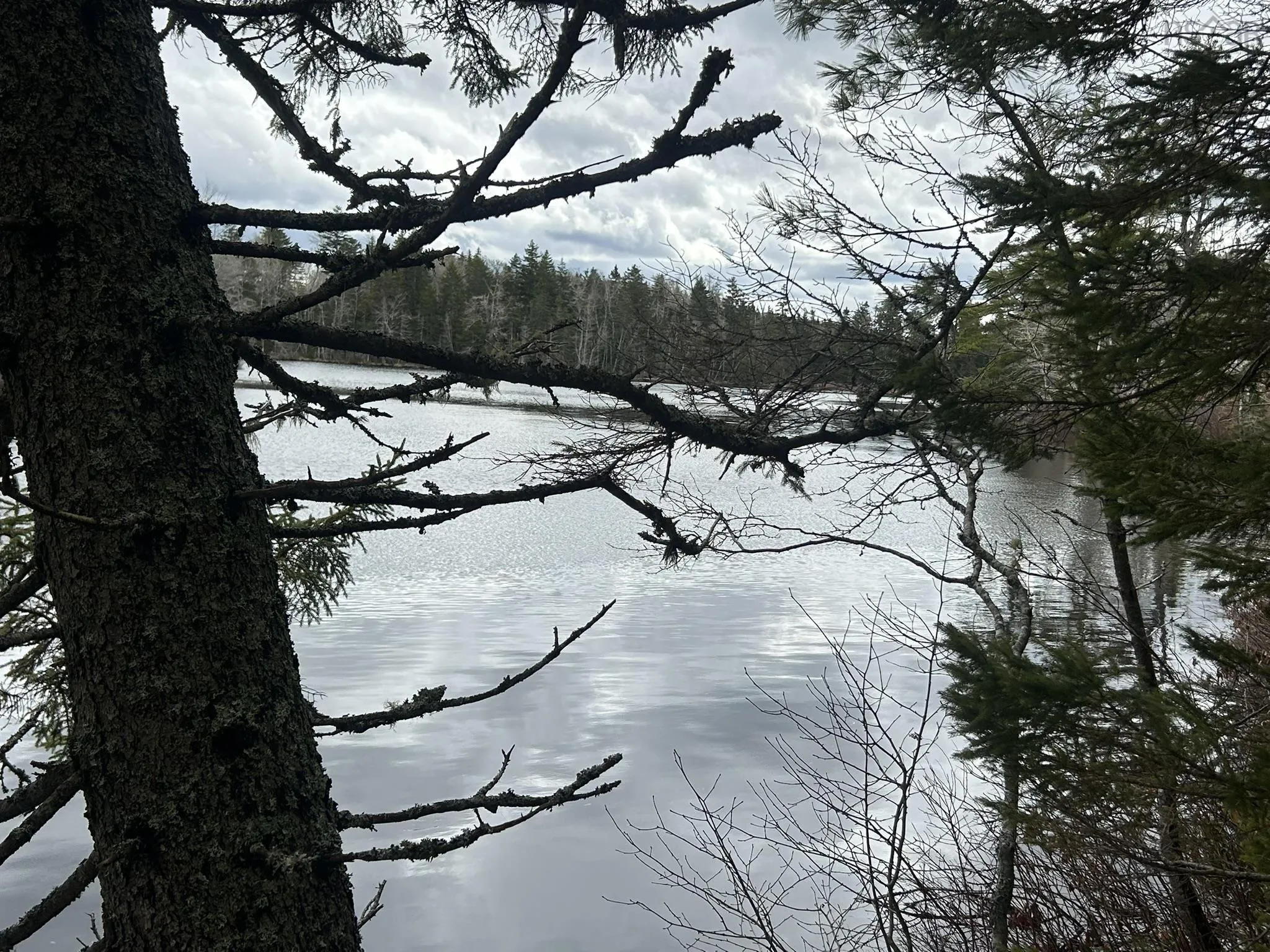 Blue Lane Lot 2, Aylesford Lake Ns B4n 3v8, ,Land,For Sale,Blue,202507566