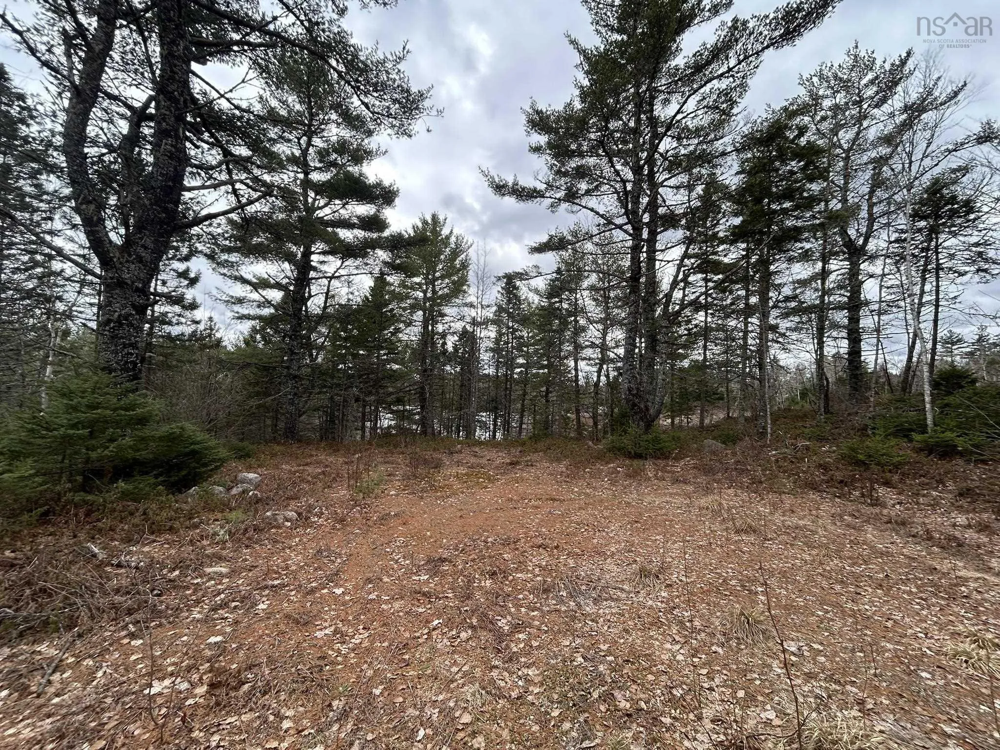Blue Lane Lot 2, Aylesford Lake Ns B4n 3v8, ,Land,For Sale,Blue,202507566