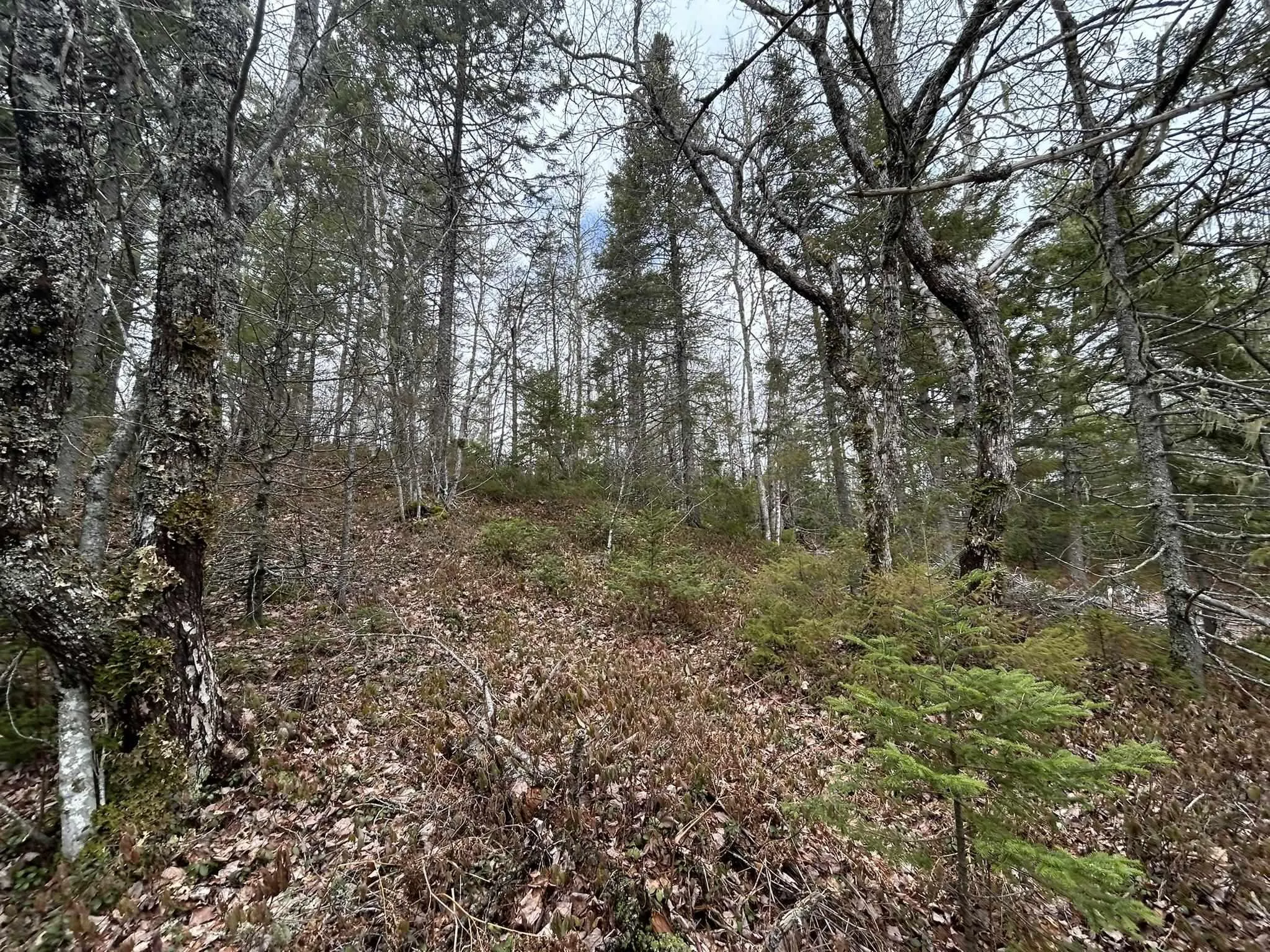 Blue Lane Lot 2, Aylesford Lake Ns B4n 3v8, ,Land,For Sale,Blue,202507566