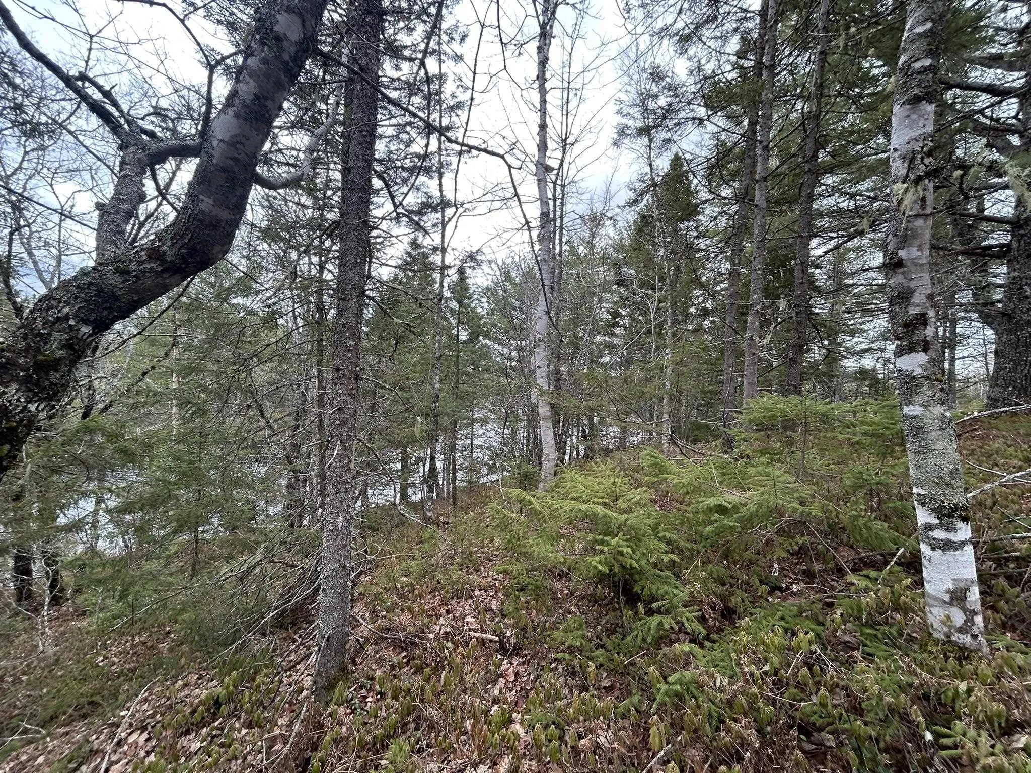 Blue Lane Lot 2, Aylesford Lake Ns B4n 3v8, ,Land,For Sale,Blue,202507566