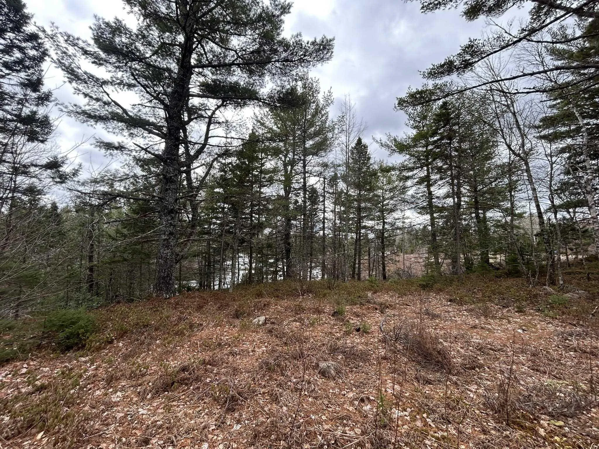 Blue Lane Lot 2, Aylesford Lake Ns B4n 3v8, ,Land,For Sale,Blue,202507566