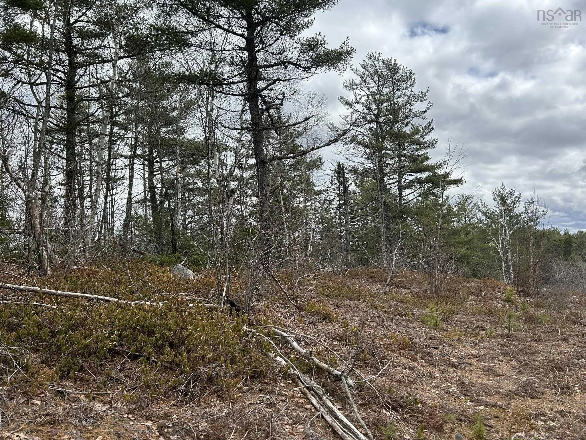 Blue Lane Lot 2, Aylesford Lake Ns B4n 3v8, ,Land,For Sale,Blue,202507566