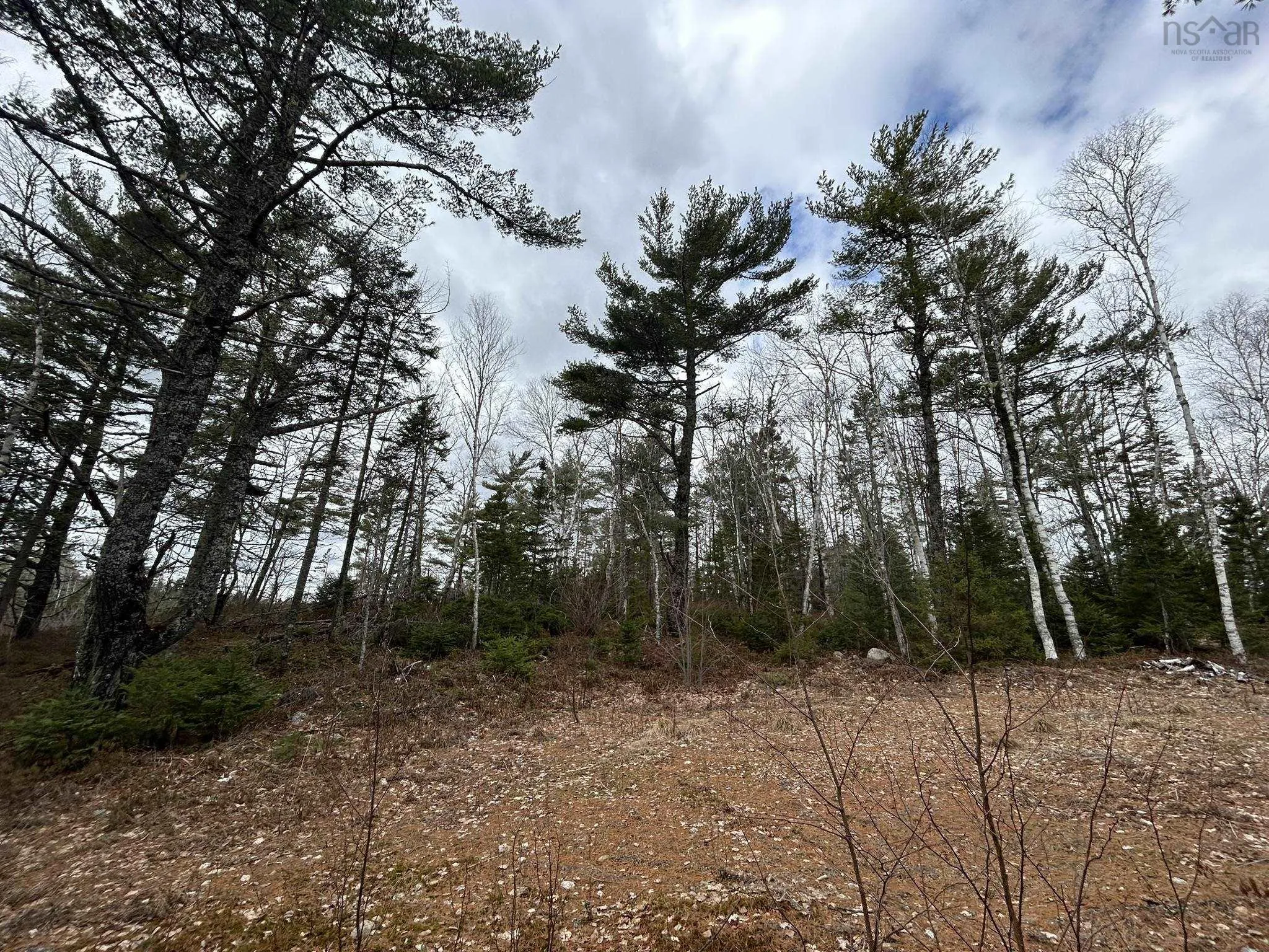 Blue Lane Lot 2, Aylesford Lake Ns B4n 3v8, ,Land,For Sale,Blue,202507566