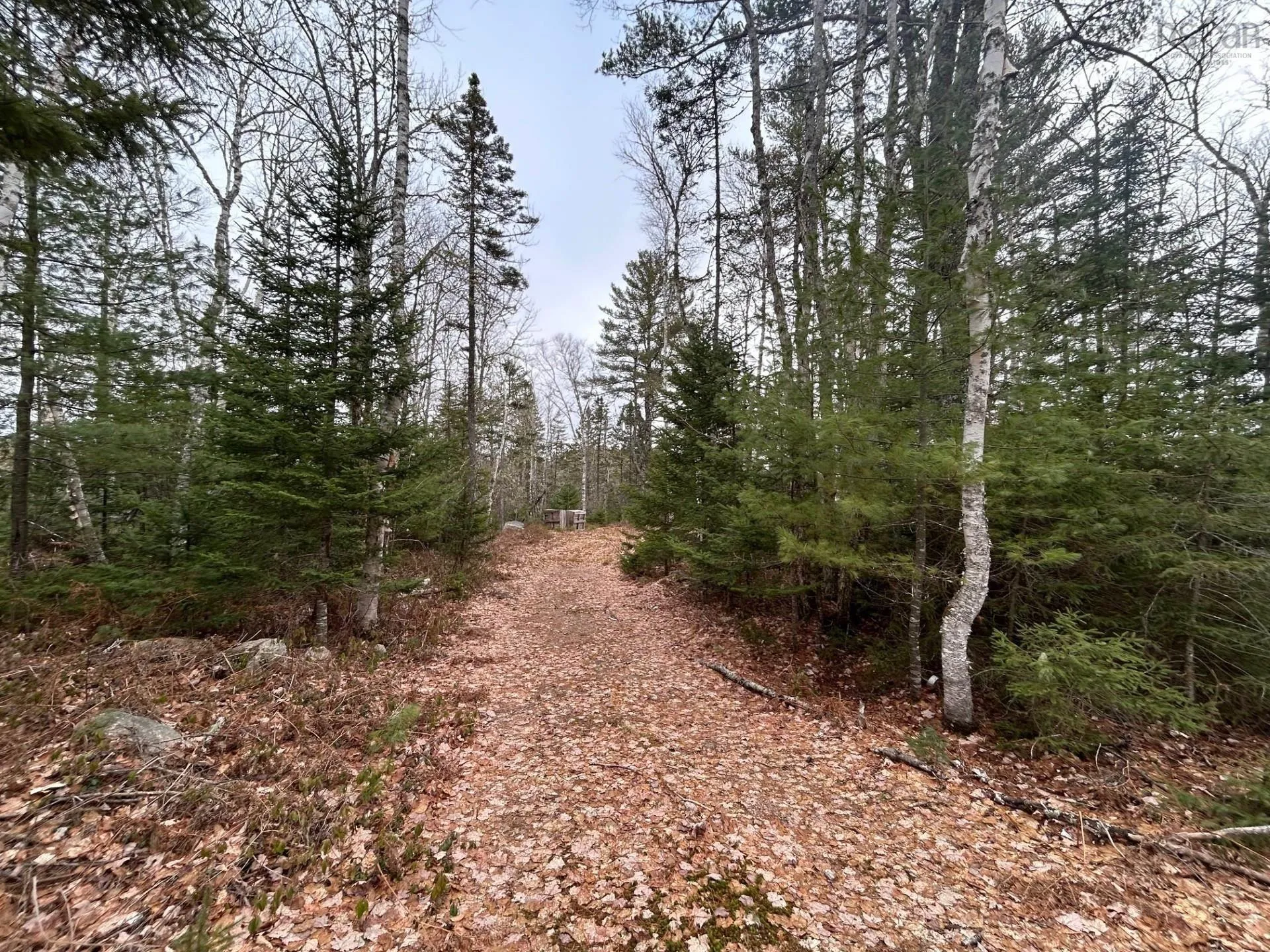 Blue Lane Lot 2, Aylesford Lake Ns B4n 3v8, ,Land,For Sale,Blue,202507566