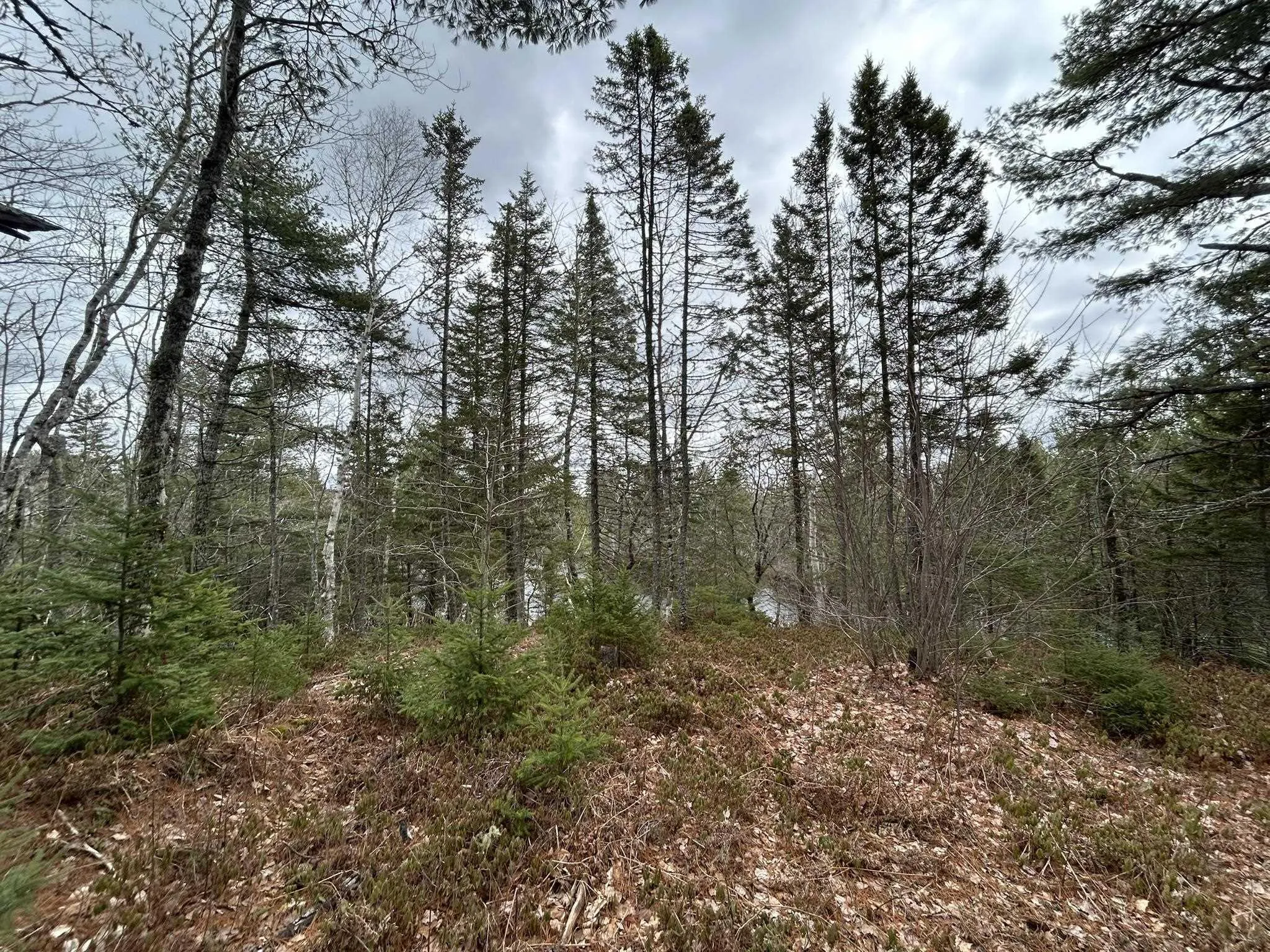Blue Lane Lot 2, Aylesford Lake Ns B4n 3v8, ,Land,For Sale,Blue,202507566