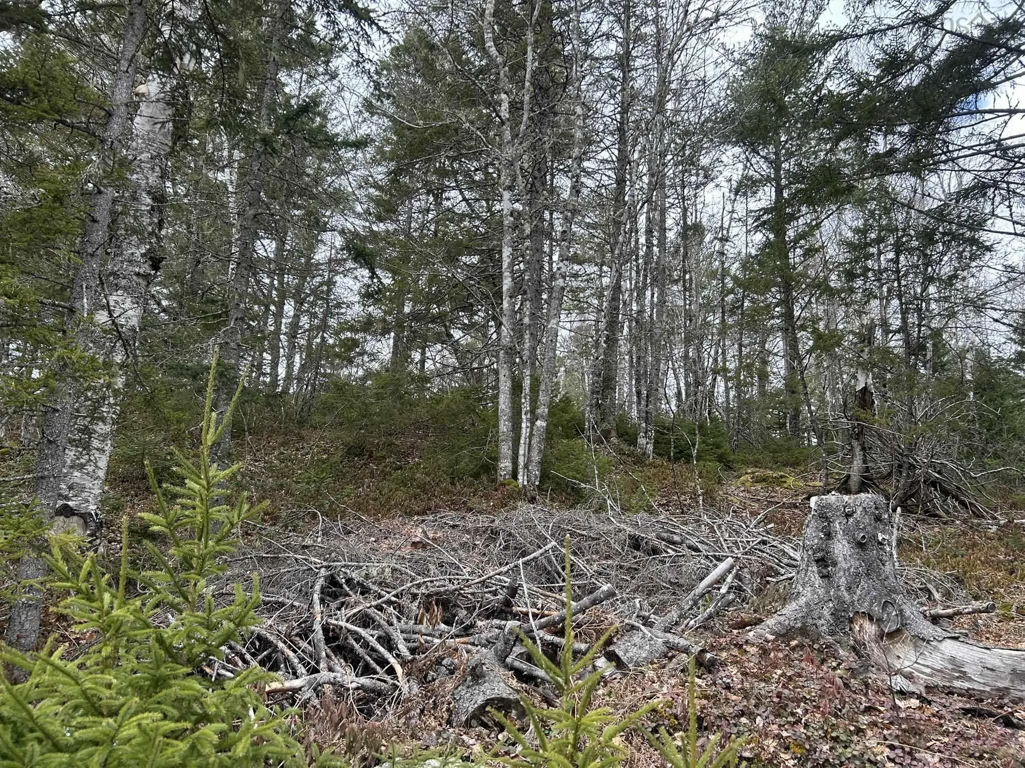 Blue Lane Lot 2, Aylesford Lake Ns B4n 3v8, ,Land,For Sale,Blue,202507566