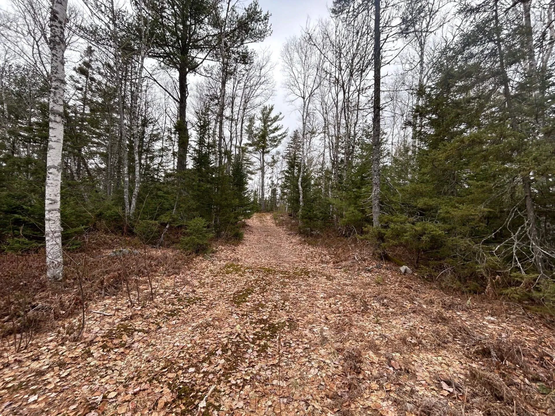 Blue Lane Lot 2, Aylesford Lake Ns B4n 3v8, ,Land,For Sale,Blue,202507566