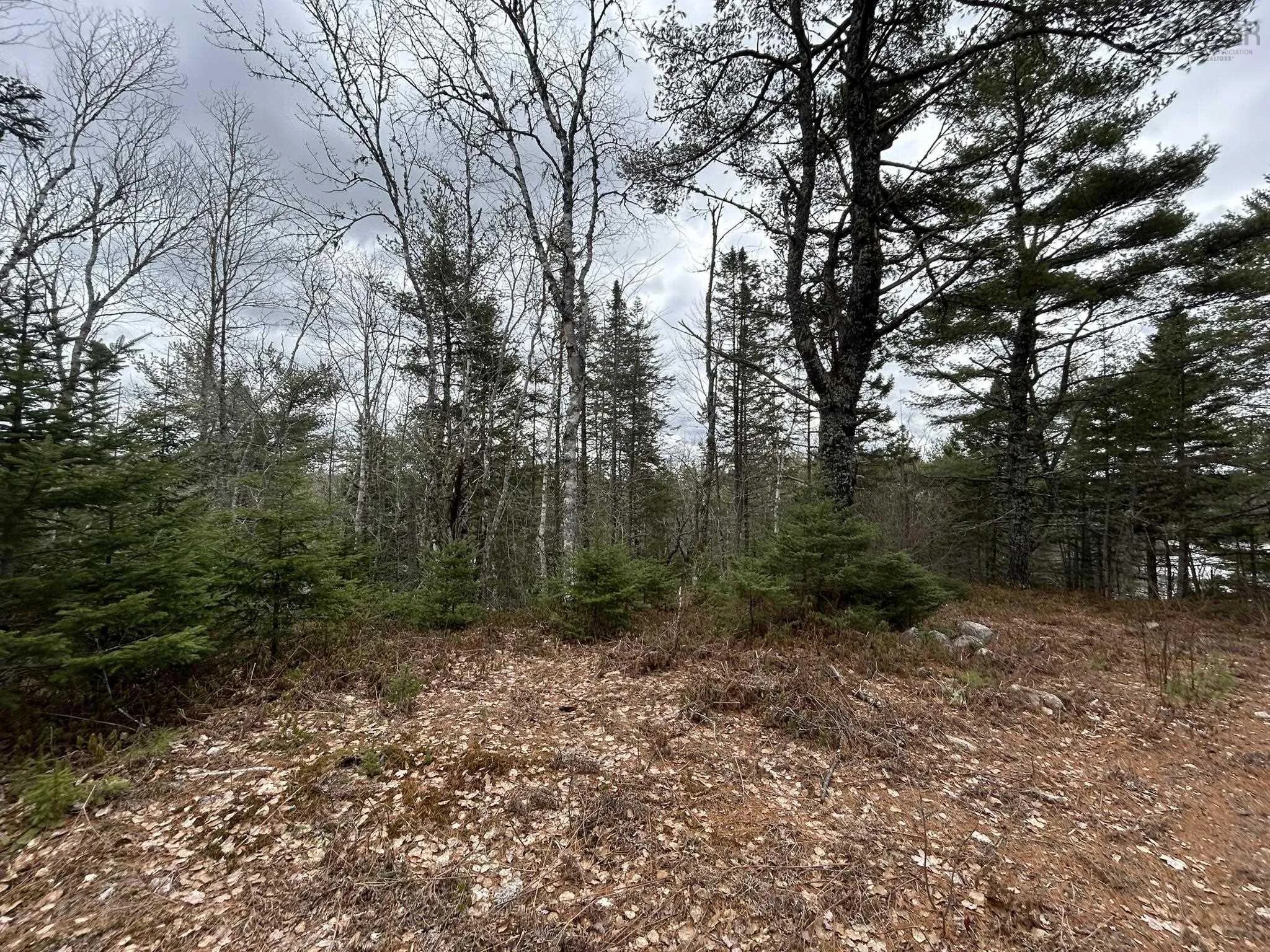 Blue Lane Lot 2, Aylesford Lake Ns B4n 3v8, ,Land,For Sale,Blue,202507566
