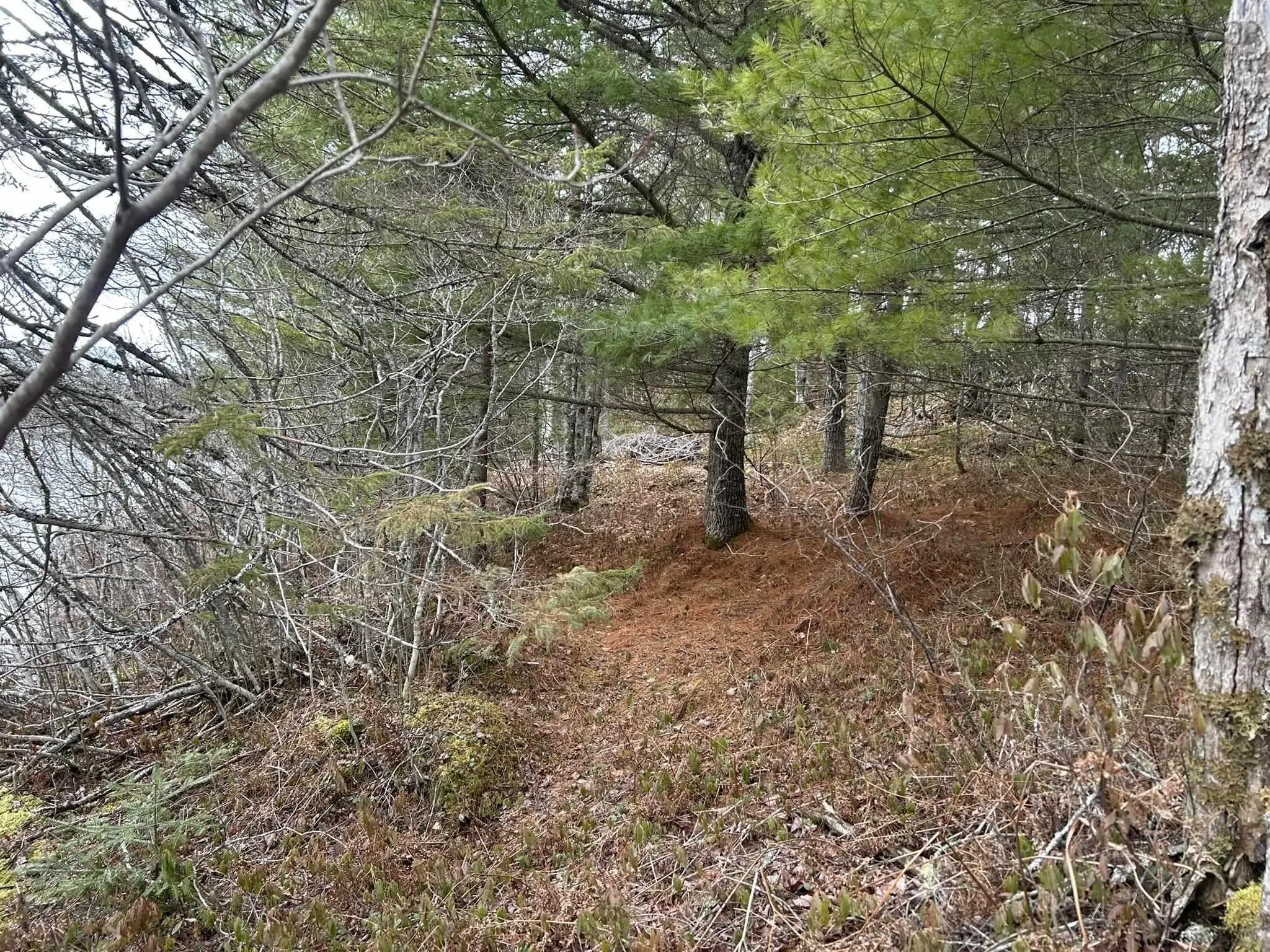 Blue Lane Lot 2, Aylesford Lake Ns B4n 3v8, ,Land,For Sale,Blue,202507566