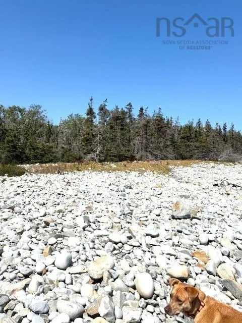 Mcleans Lake Road Lot 27, Port Lhebert, NS B0T 1W0, ,Land,For Sale,Mcleans Lake,202521865