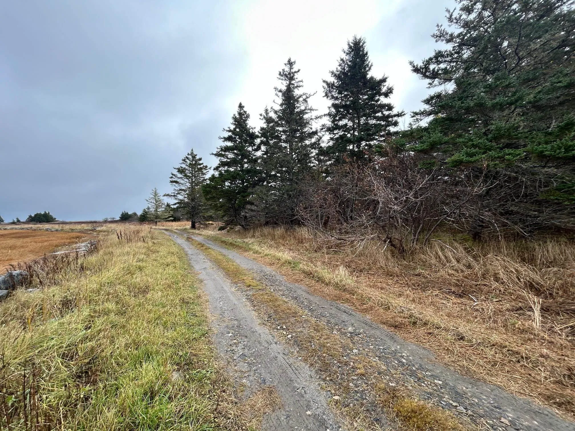 Pid#80133309 Breakwater Road, Louis Head Ns B0t 1v0, ,Land,For Sale,Pid#80133309 Breakwater,202427201