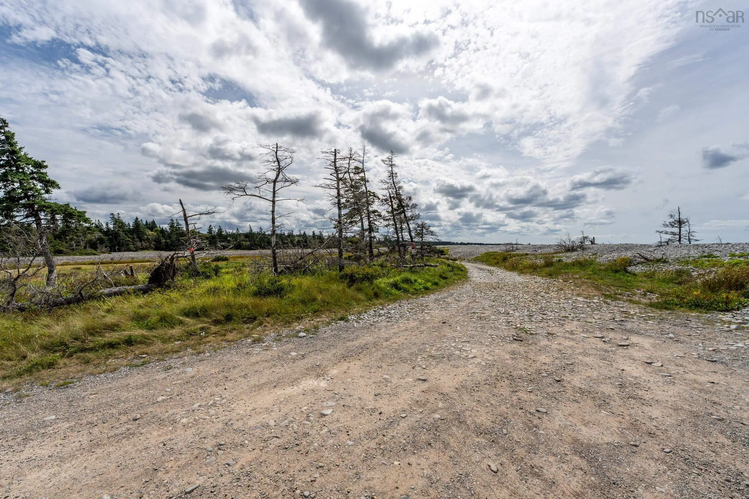 Lot Major Point Road, Belliveaus Cove Ns B0w 1m0, ,Land,For Sale,Major Point Road,202422167