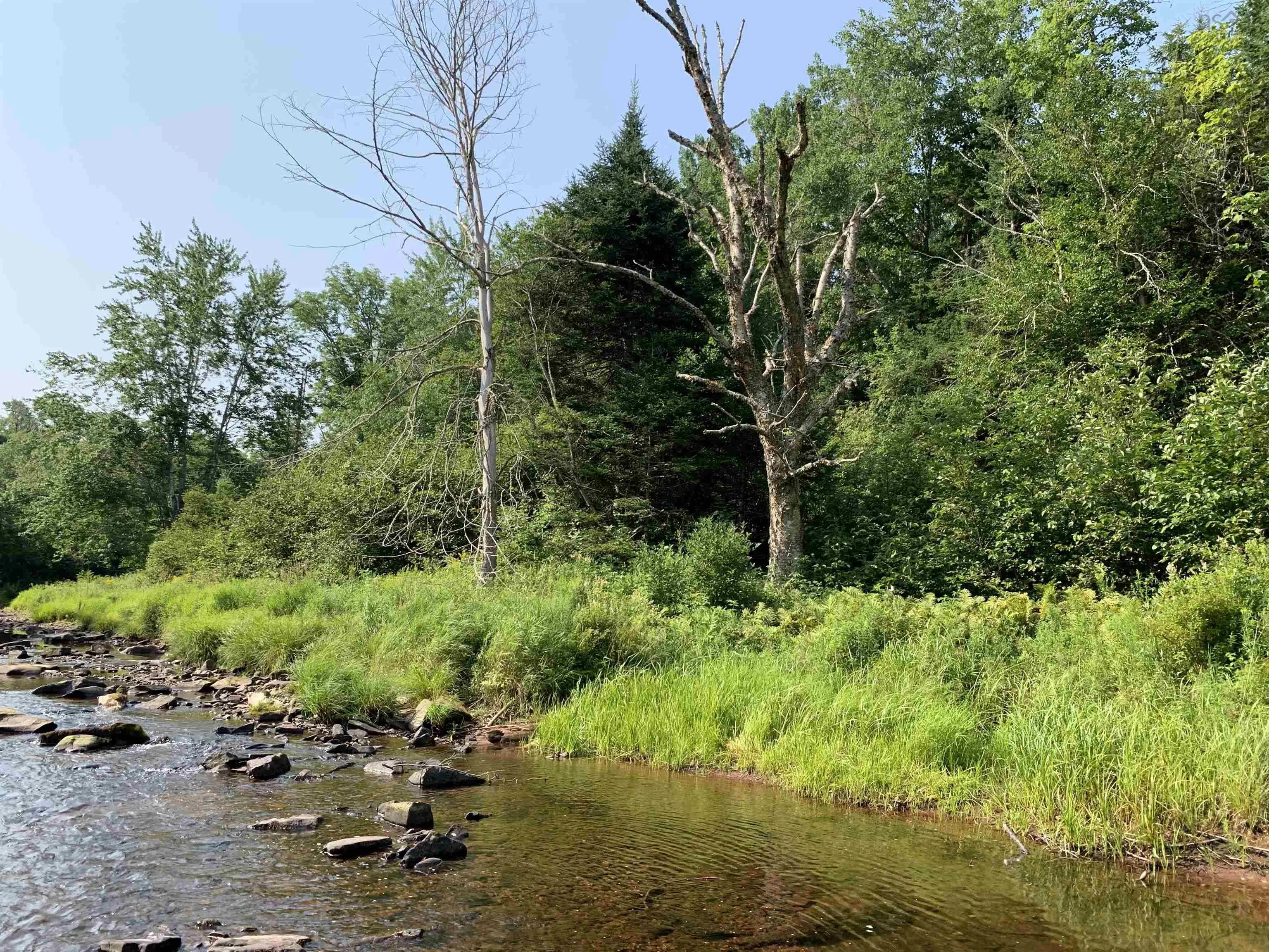 Lot 4a Hunter Road, Wentworth Valley, NS B0M 1Z0, ,Land,For Sale,Hunter,202521315
