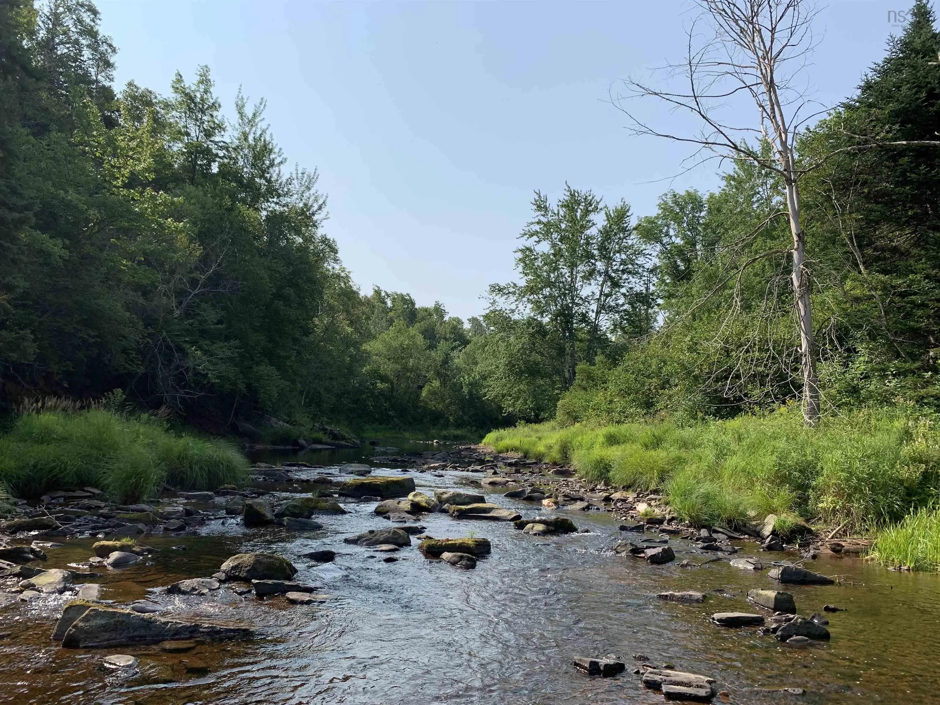 Lot 4a Hunter Road, Wentworth Valley, NS B0M 1Z0, ,Land,For Sale,Hunter,202521315