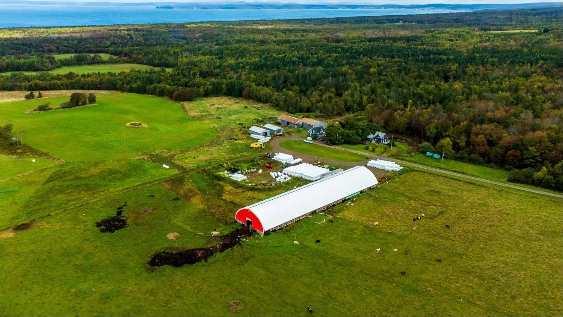 617 Gospel Woods Road, West Glenmont, NS B0P 1H0, 3 Bedrooms Bedrooms, ,2 BathroomsBathrooms,Farm,For Sale,Gospel Woods,202522725