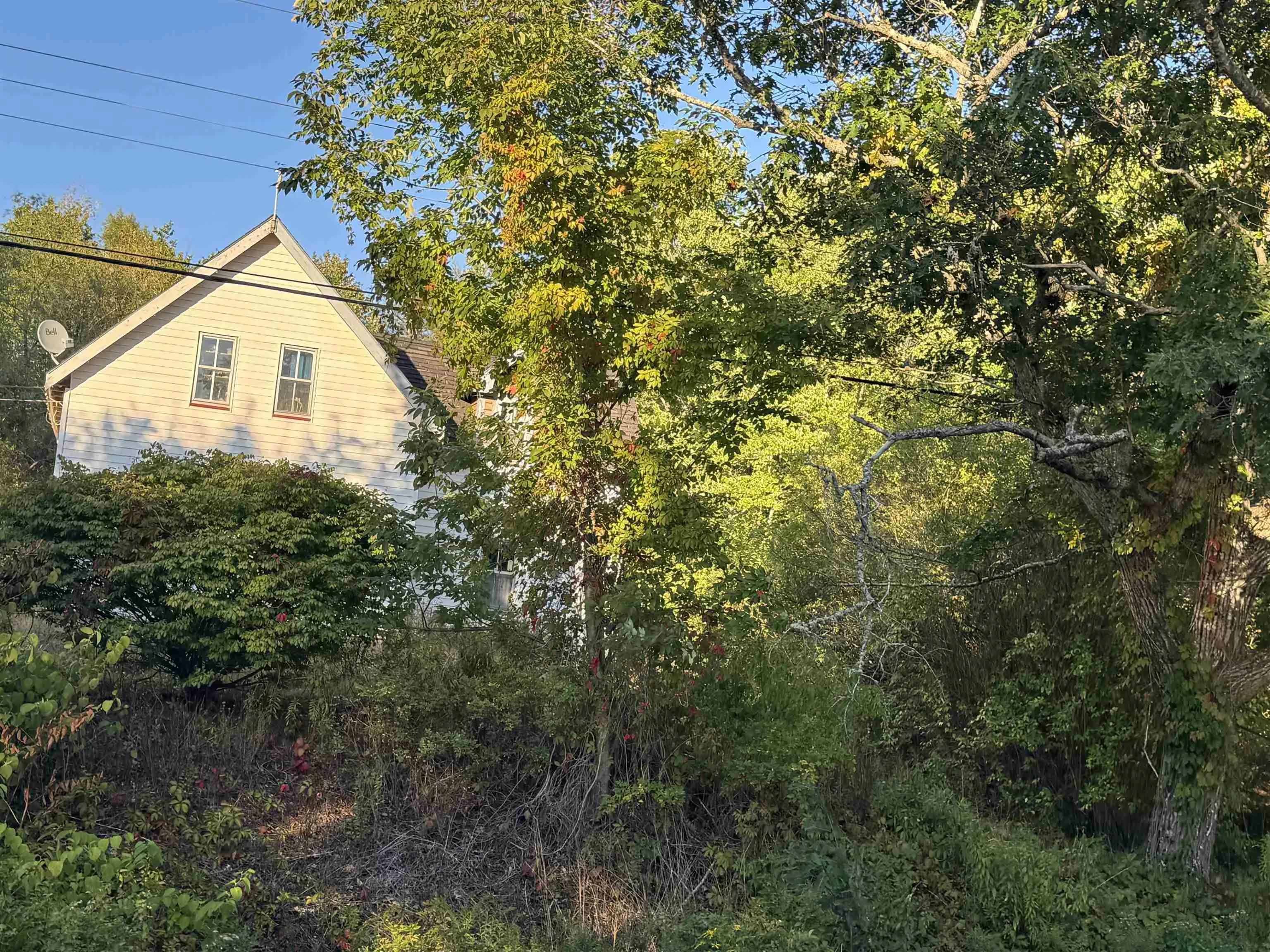 5514 Highway 10, New Germany, NS B0R 1E0, ,Land,For Sale,Highway 10,202522675