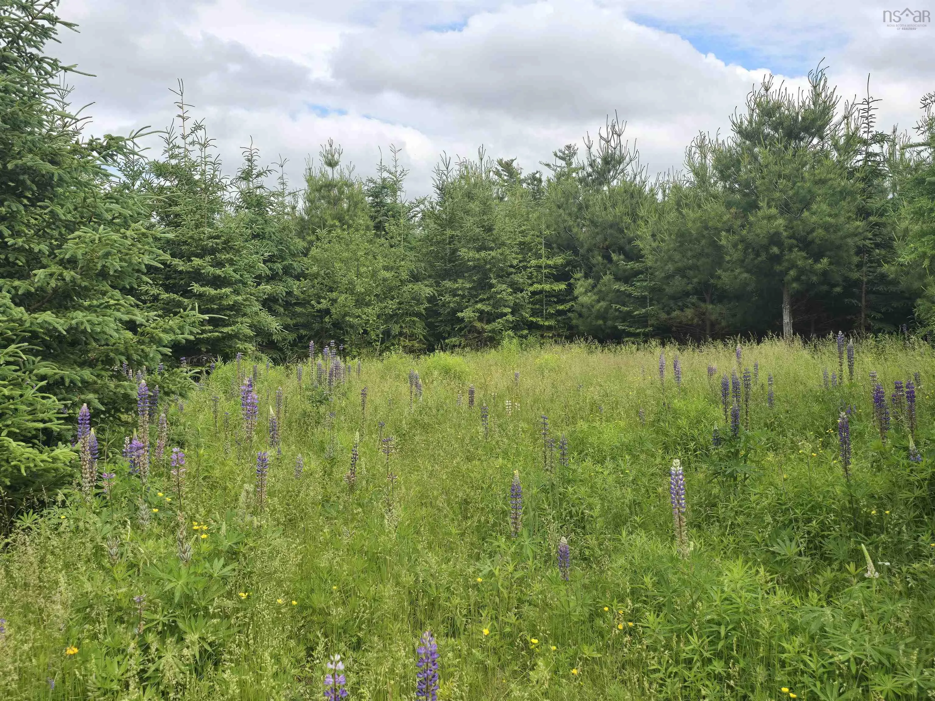 Lot 6 41 Brule Shore Road, Barrachois, NS B0K 1V0, 2 Bedrooms Bedrooms, ,1 BathroomBathrooms,Residential,For Sale,41 Brule Shore,202516718