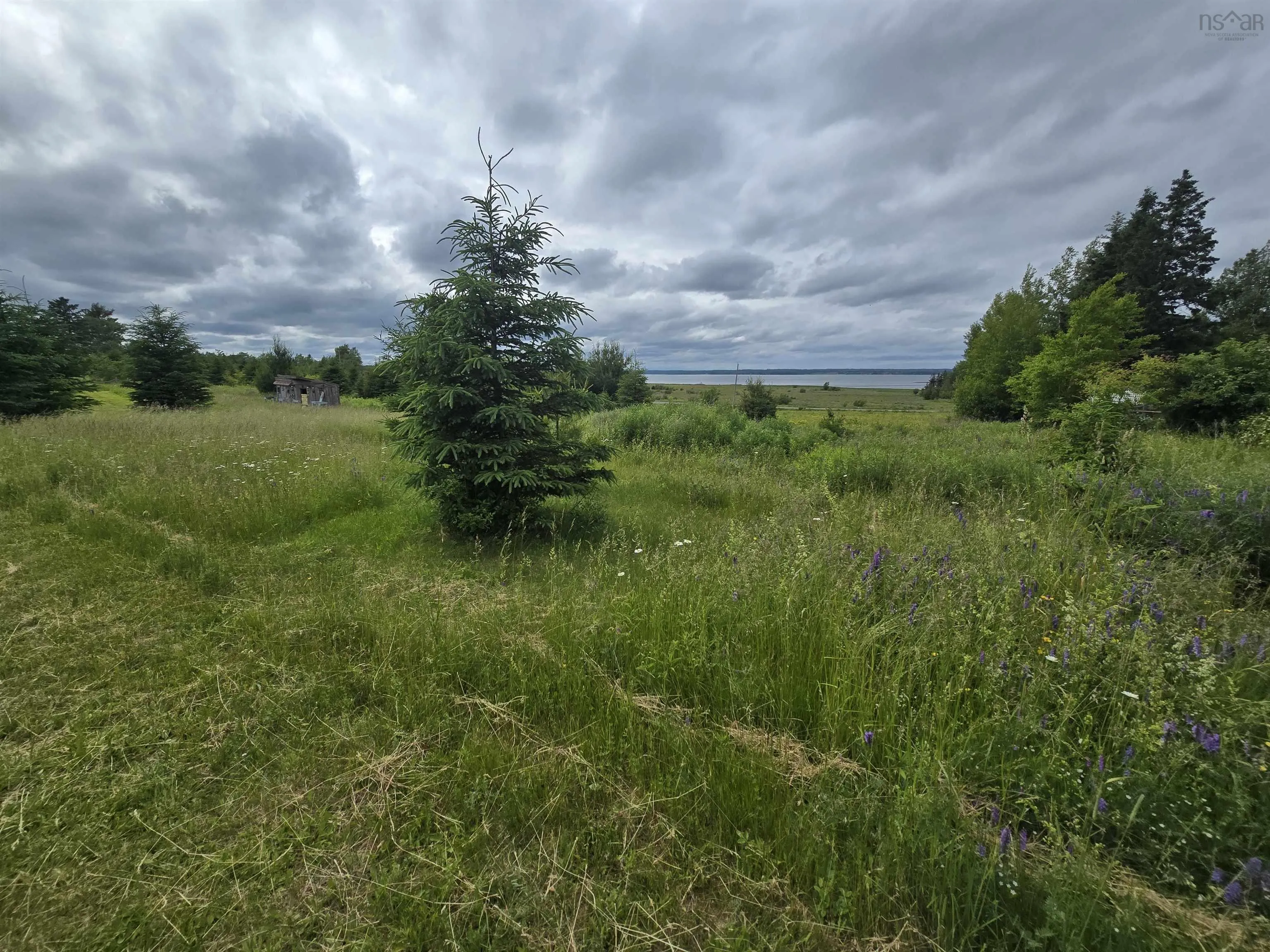 Lot 6 41 Brule Shore Road, Barrachois, NS B0K 1V0, 2 Bedrooms Bedrooms, ,1 BathroomBathrooms,Residential,For Sale,41 Brule Shore,202516718