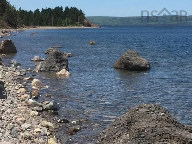 Lot 4 Macleods Pond Road, Roberta, NS B0E 3B0, ,Land,For Sale,Macleods Pond,202502746