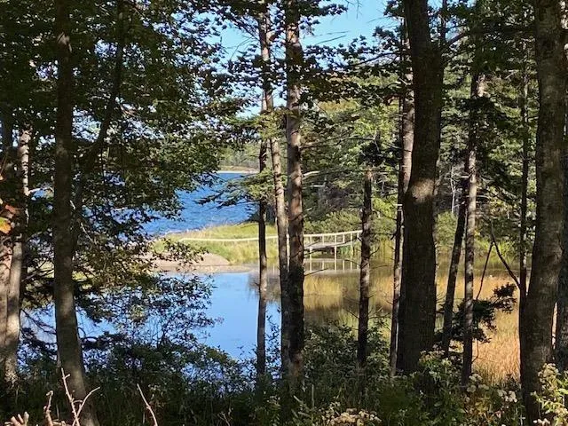 Lot 4 Macleods Pond Road, Roberta, NS B0E 3B0, ,Land,For Sale,Macleods Pond,202502746