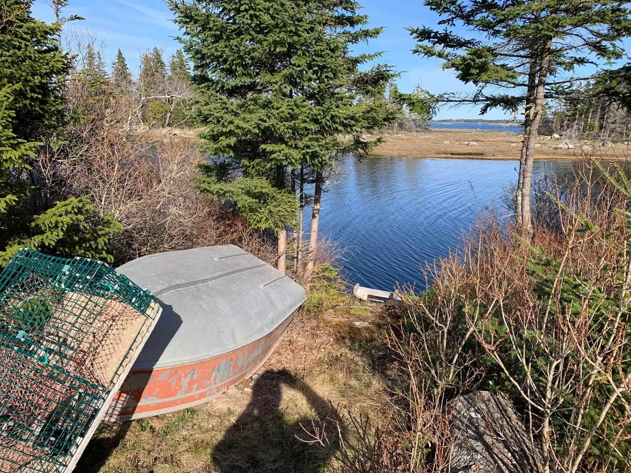 336 Indian Point Road, East Port Medway, NS B0J 2H0, ,Land,For Sale,Indian Point,202521565