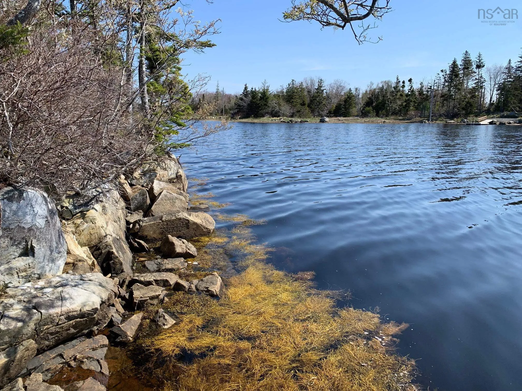 336 Indian Point Road, East Port Medway, NS B0J 2H0, ,Land,For Sale,Indian Point,202521565