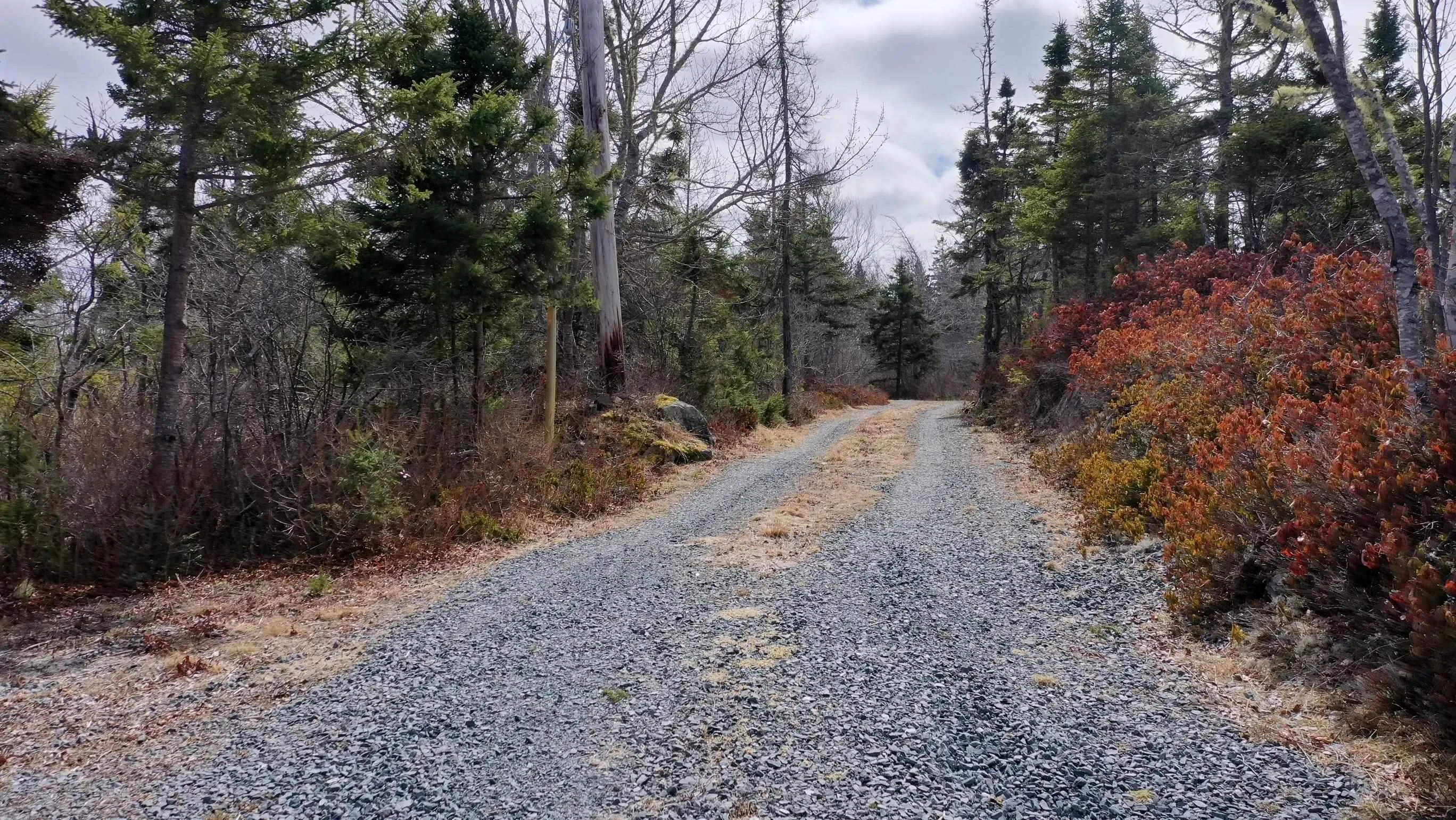 336 Indian Point Road, East Port Medway, NS B0J 2H0, ,Land,For Sale,Indian Point,202521565