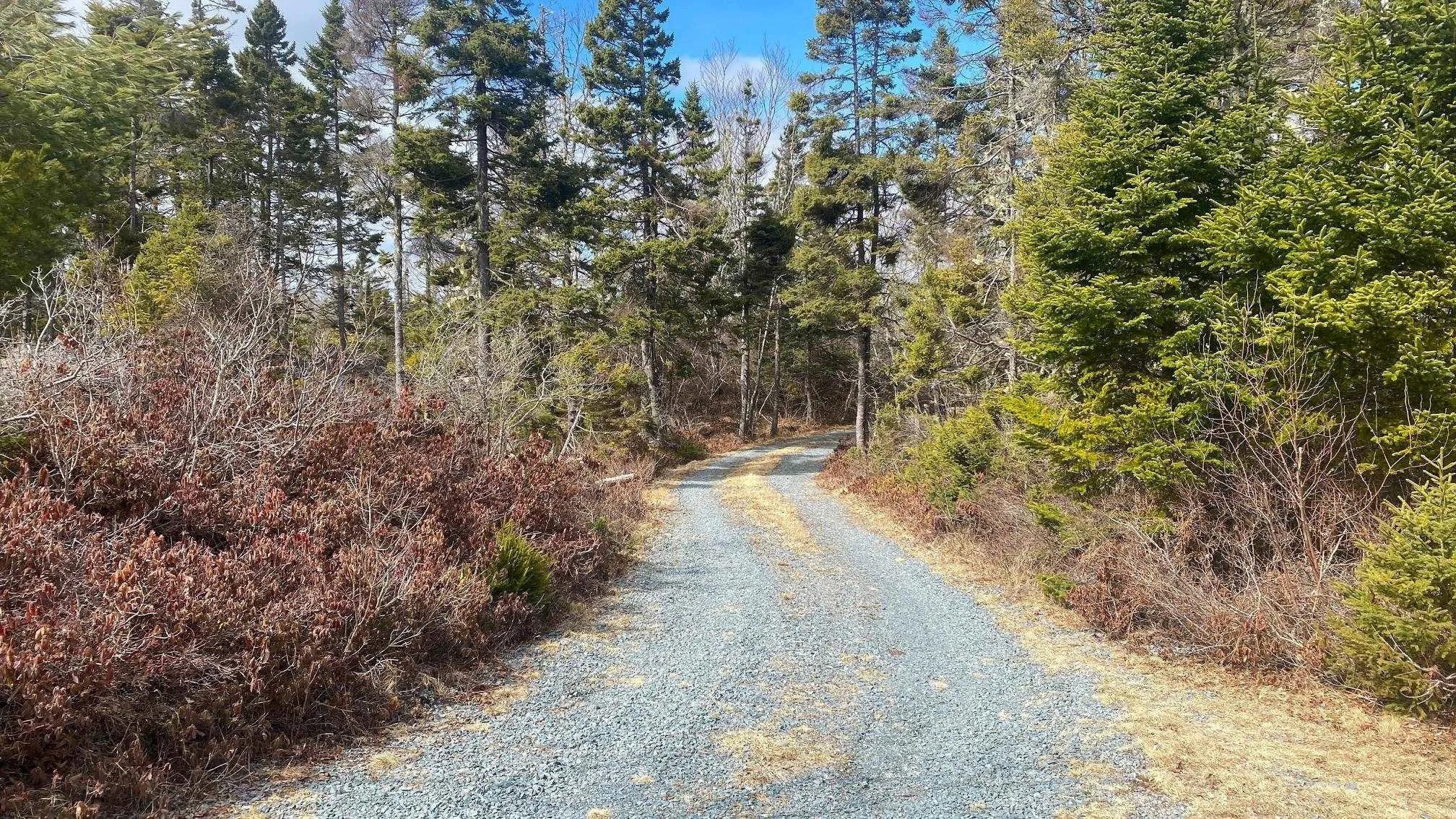 336 Indian Point Road, East Port Medway, NS B0J 2H0, ,Land,For Sale,Indian Point,202521565