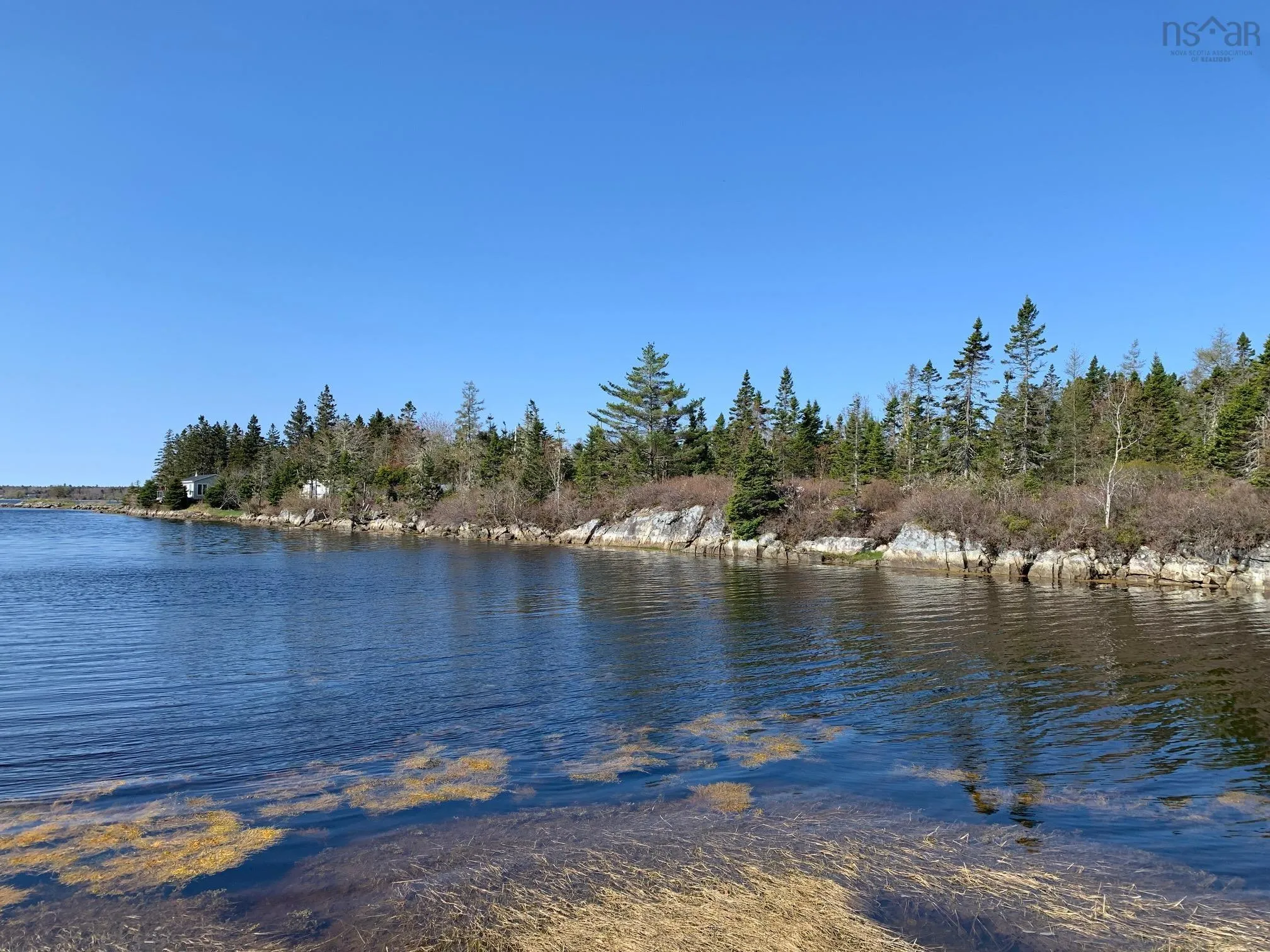 336 Indian Point Road, East Port Medway, NS B0J 2H0, ,Land,For Sale,Indian Point,202521565